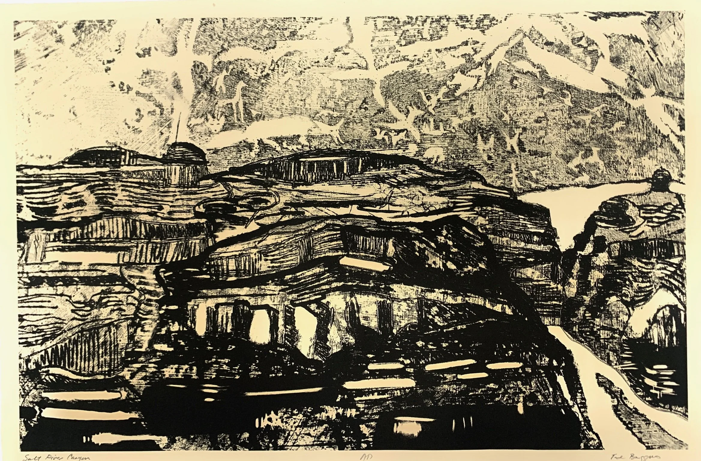Salt River Canyon
