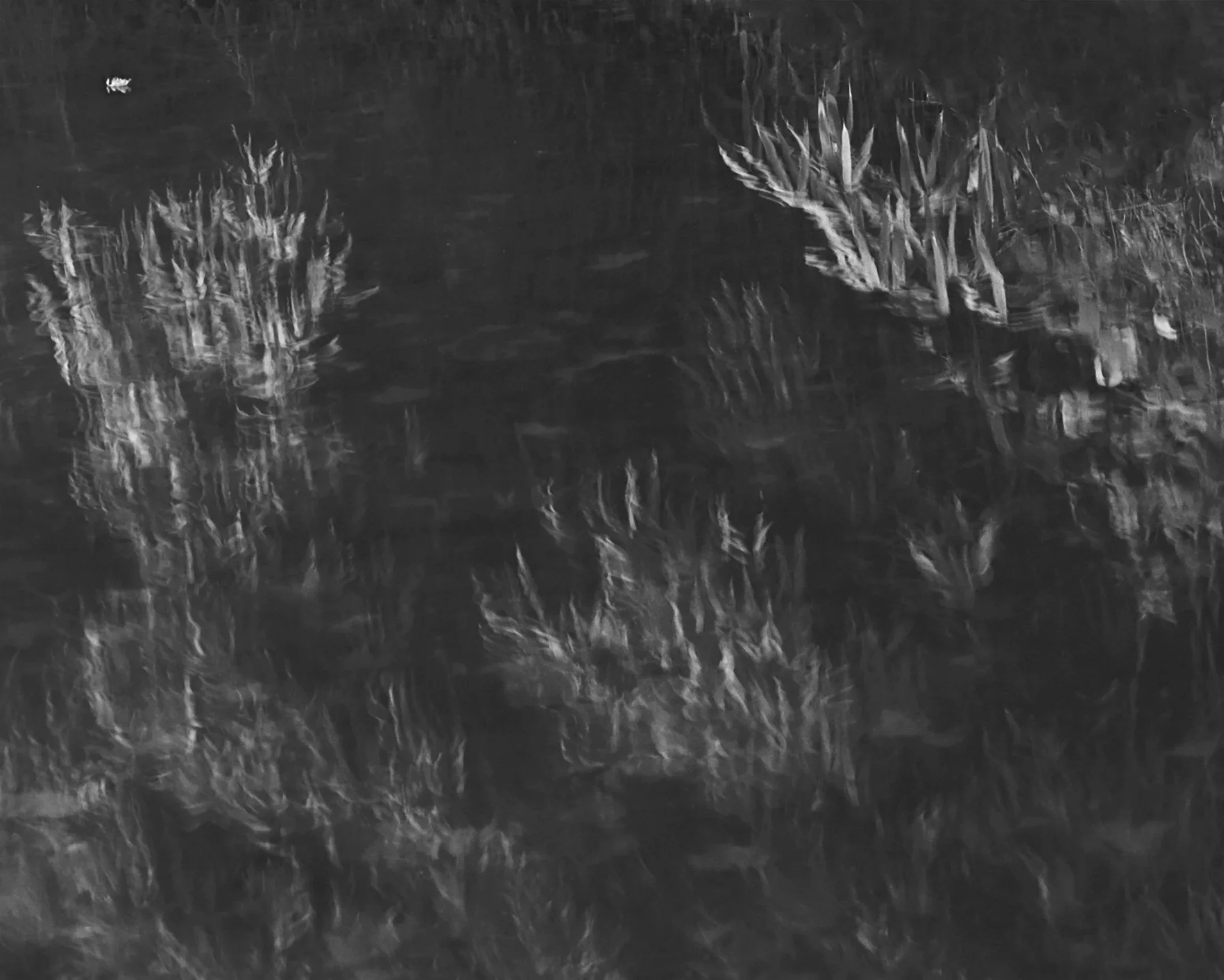 Willem-Pab+-+London+Marshes+8.jpg