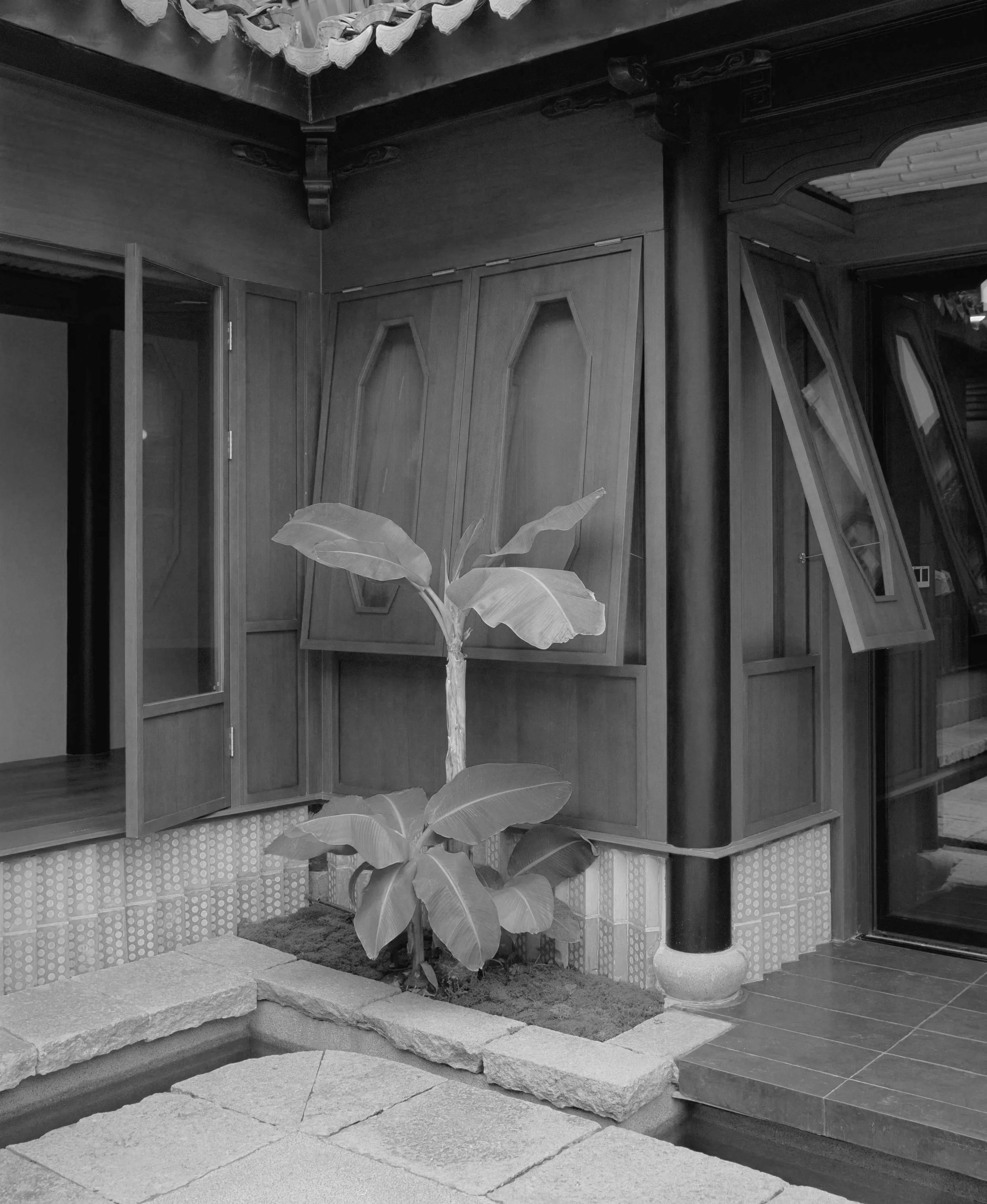 yunluhouse_willempab_commonwonder_11.jpg
