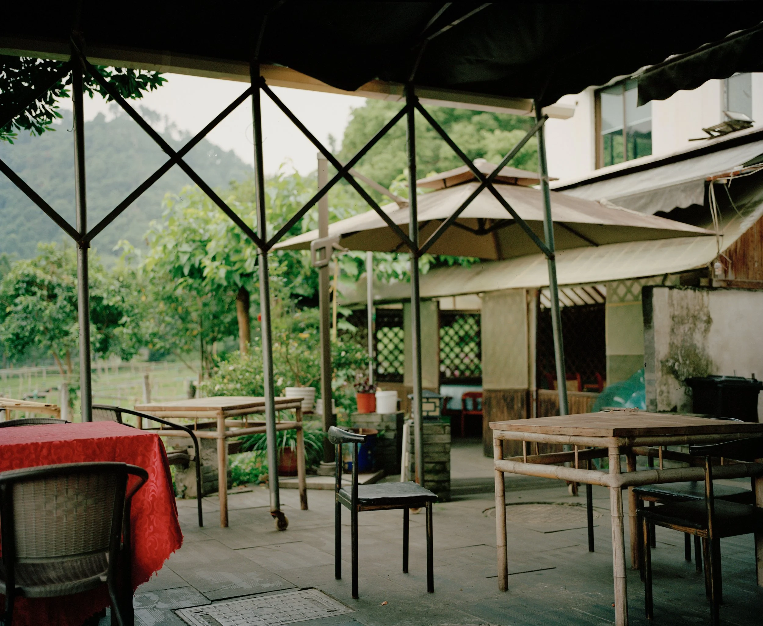 Willem Pab - China - Hangzhou - Documentary Photography - Photographer - Longjing Tea Village Fields - Fine Art - Chinese Tea - Prints - Editions