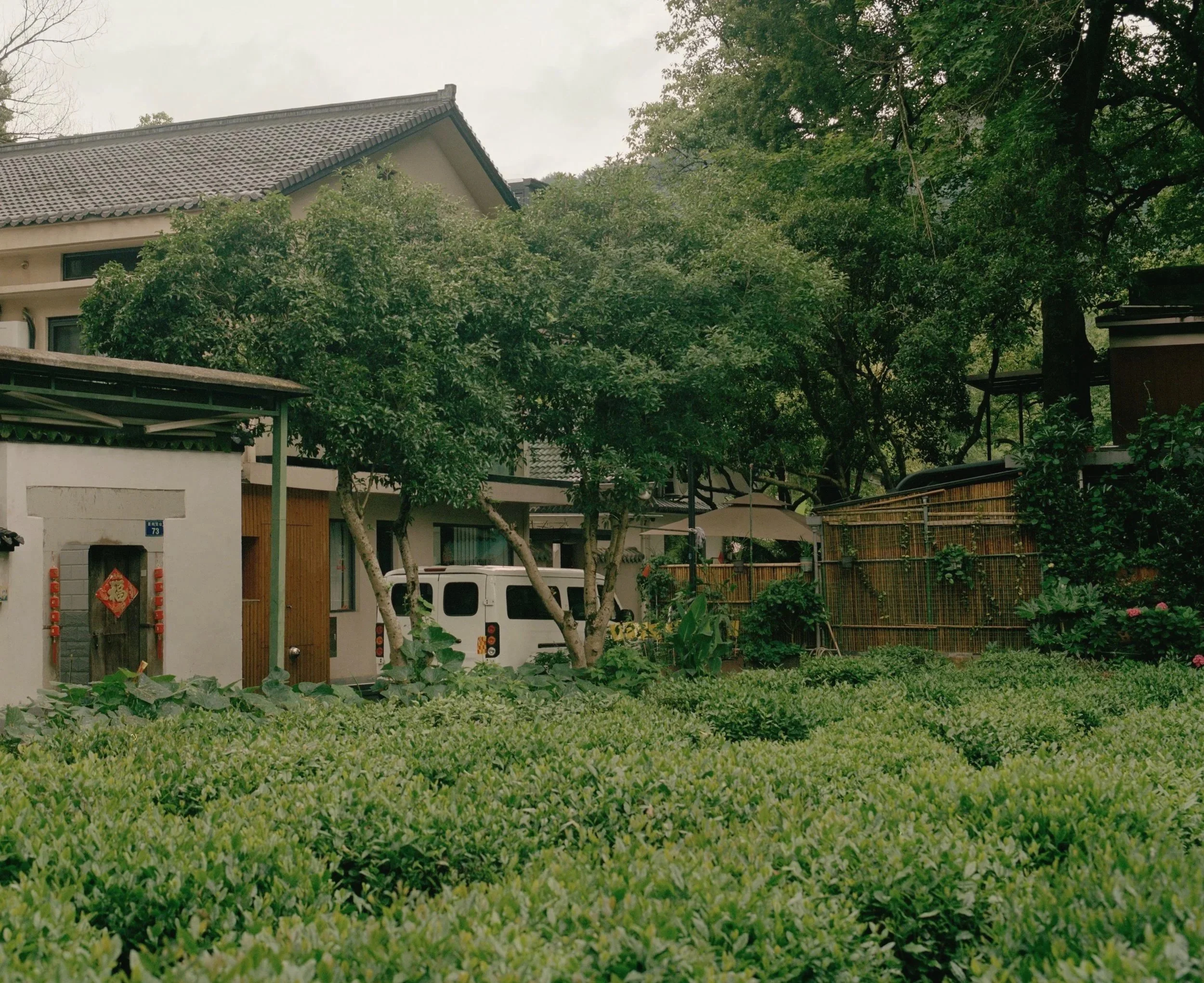 Willem Pab - China - Hangzhou - Documentary Photography - Photographer - Longjing Tea Village Fields - Fine Art - Chinese Tea - Prints - Editions