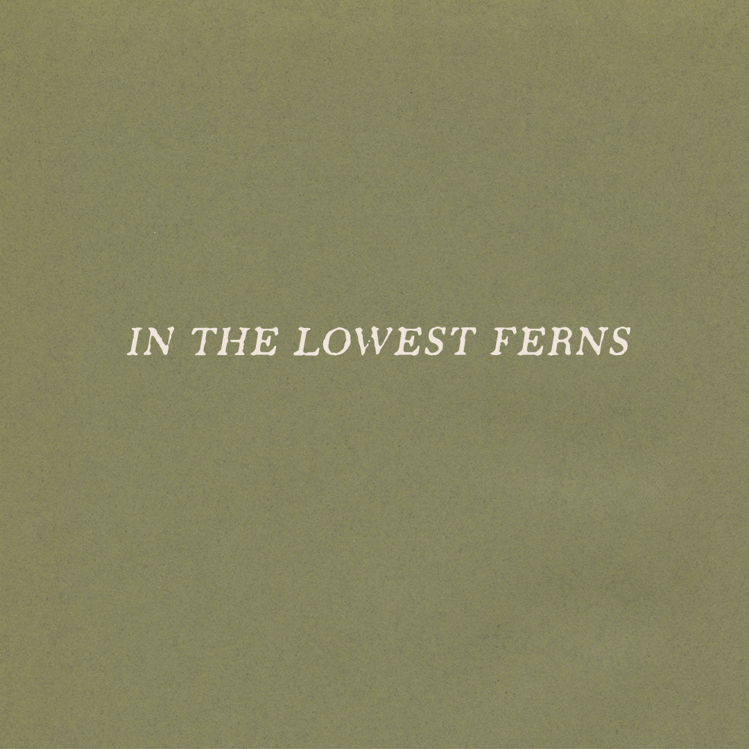 logoLowestFerns.png
