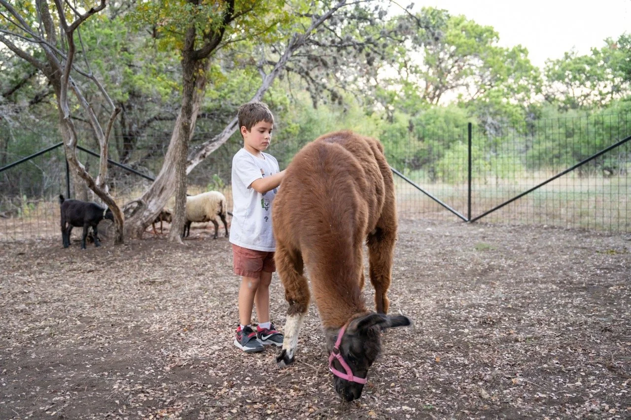 Allison s event shoot_20231020_088 Large.jpeg