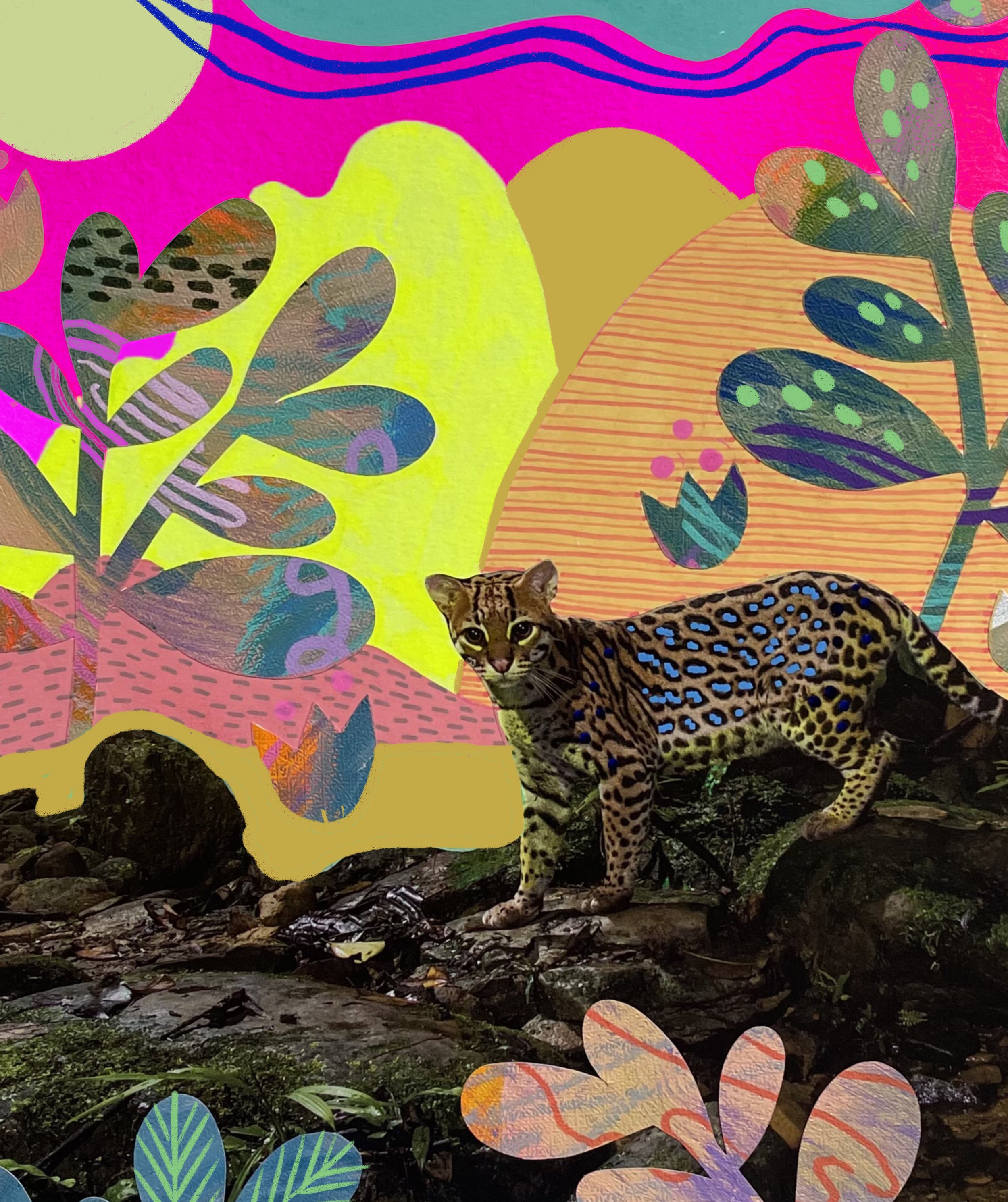 junglecat_digital.jpg