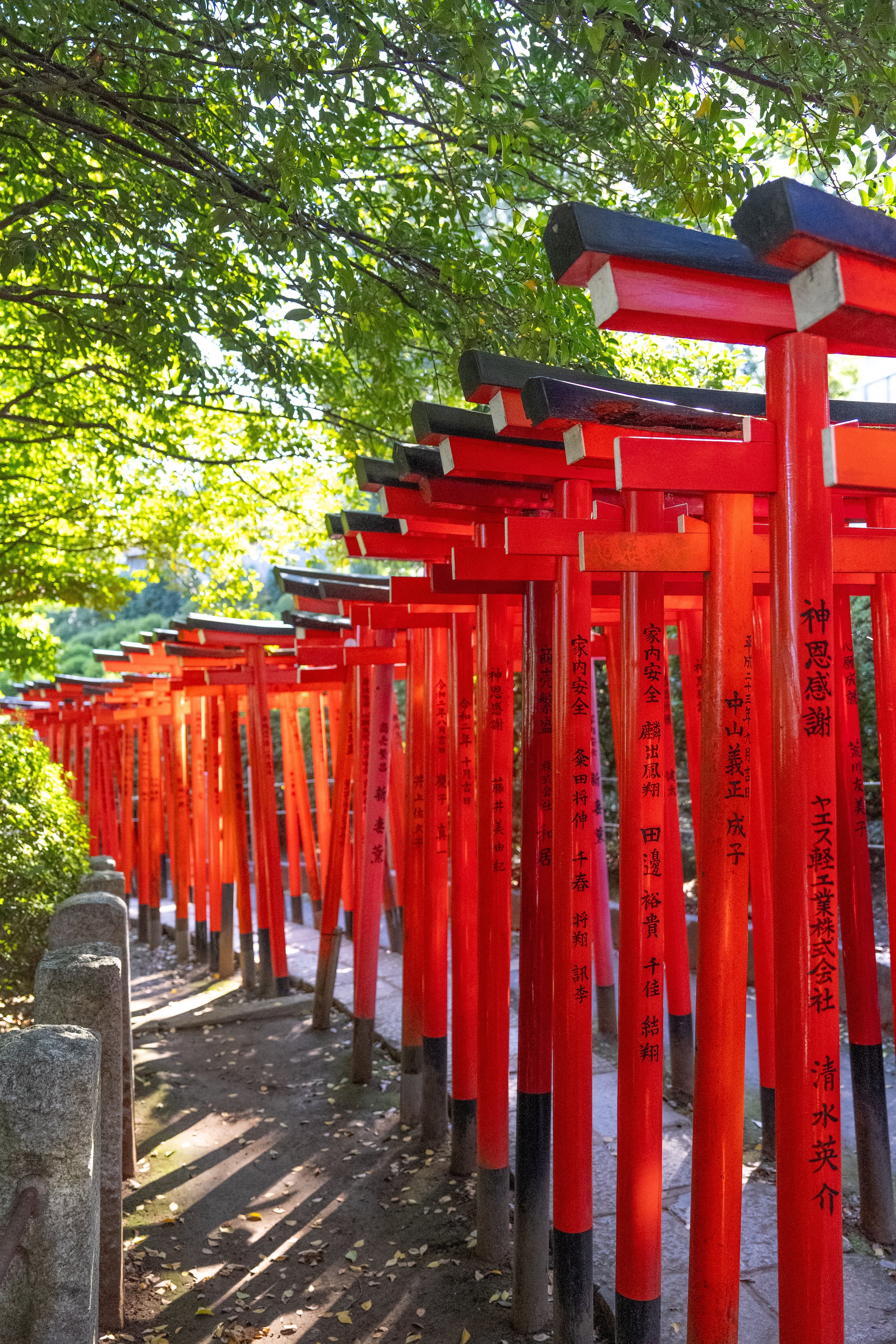 Cultural Sites: Temples, shrines and iconic landmarks that immerse you in Japanese history and culture