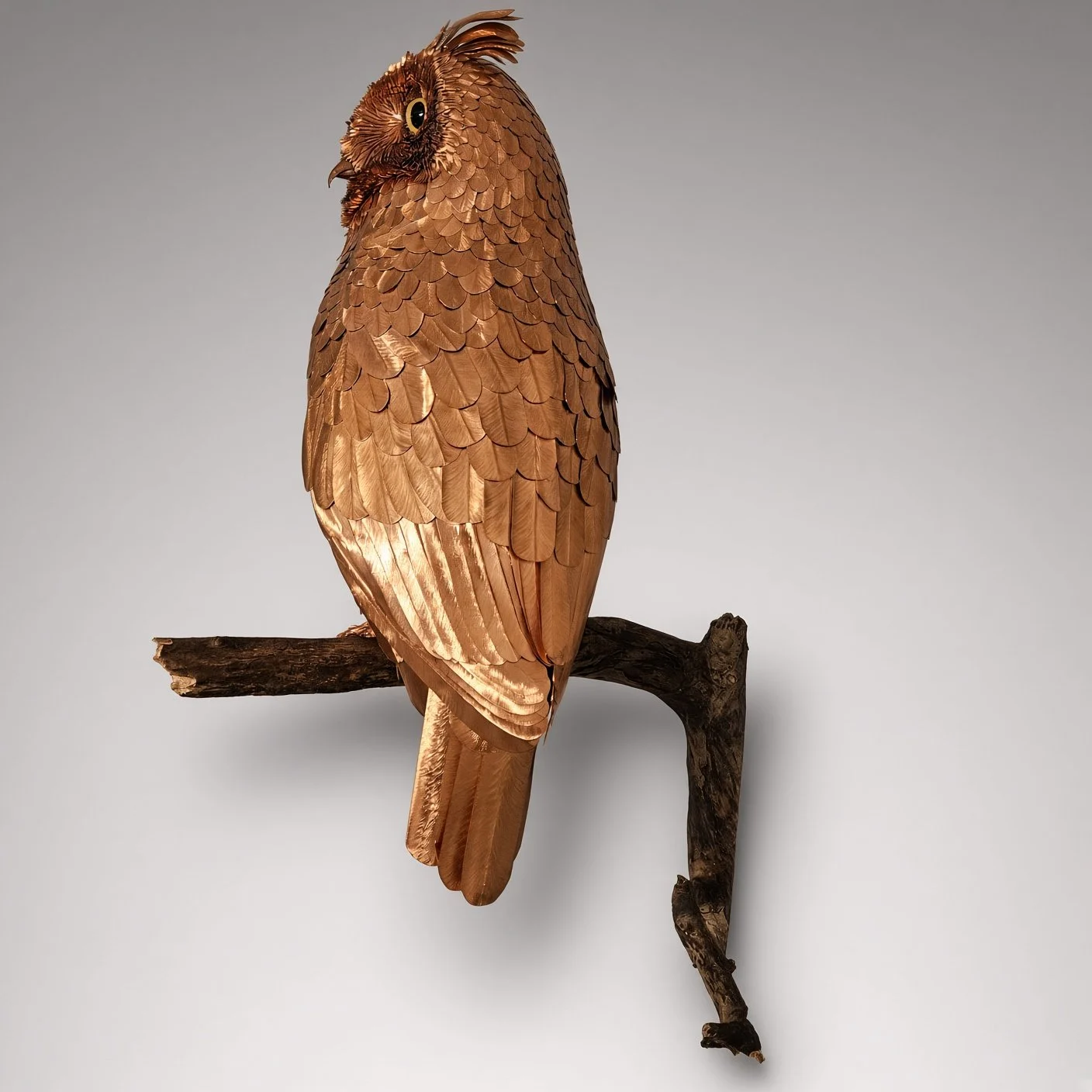 Full back view of the owl on the apple branch