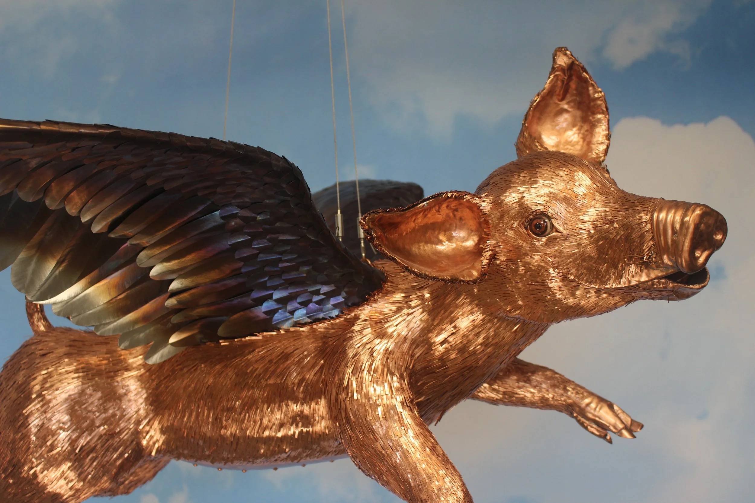 Right side, head and body