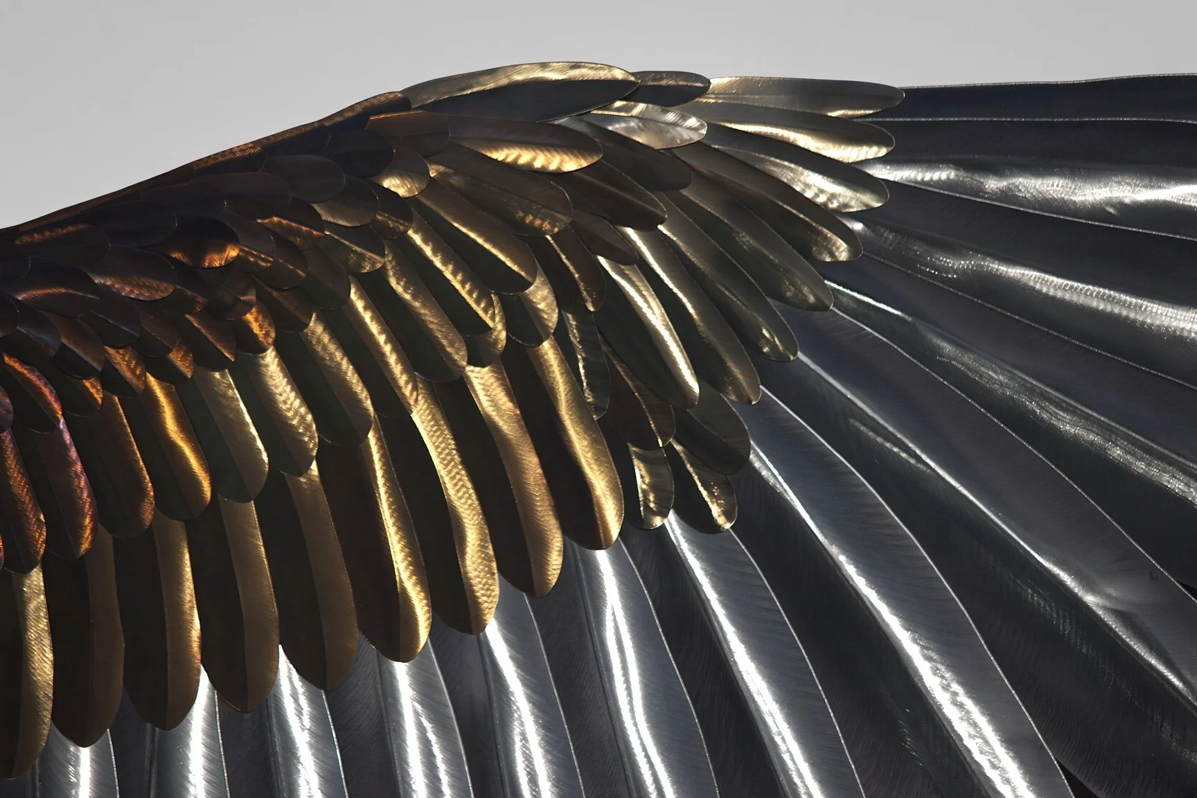 Close-up of the heat-tempered feathers