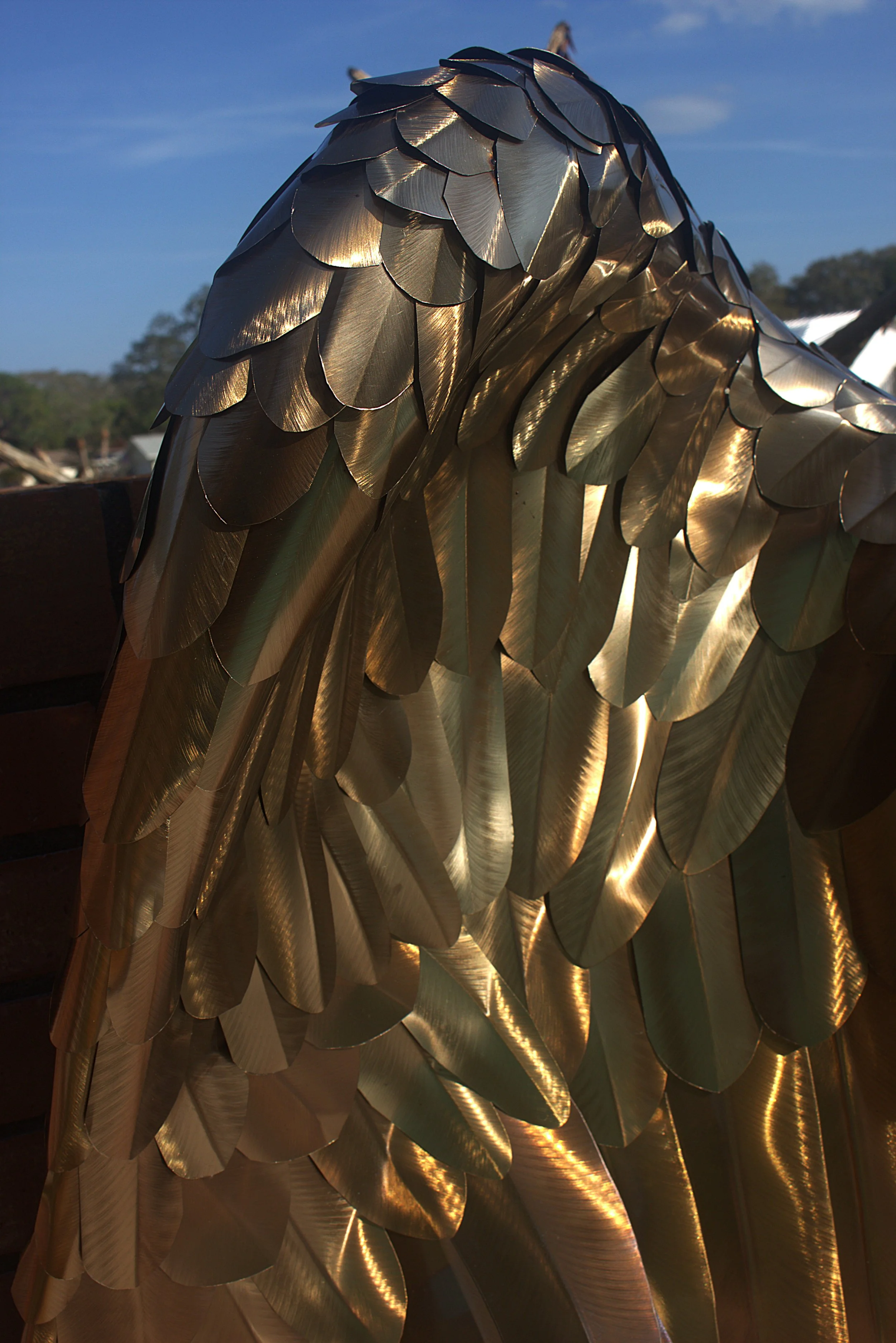 Photo op large angels wings feather close up.jpg