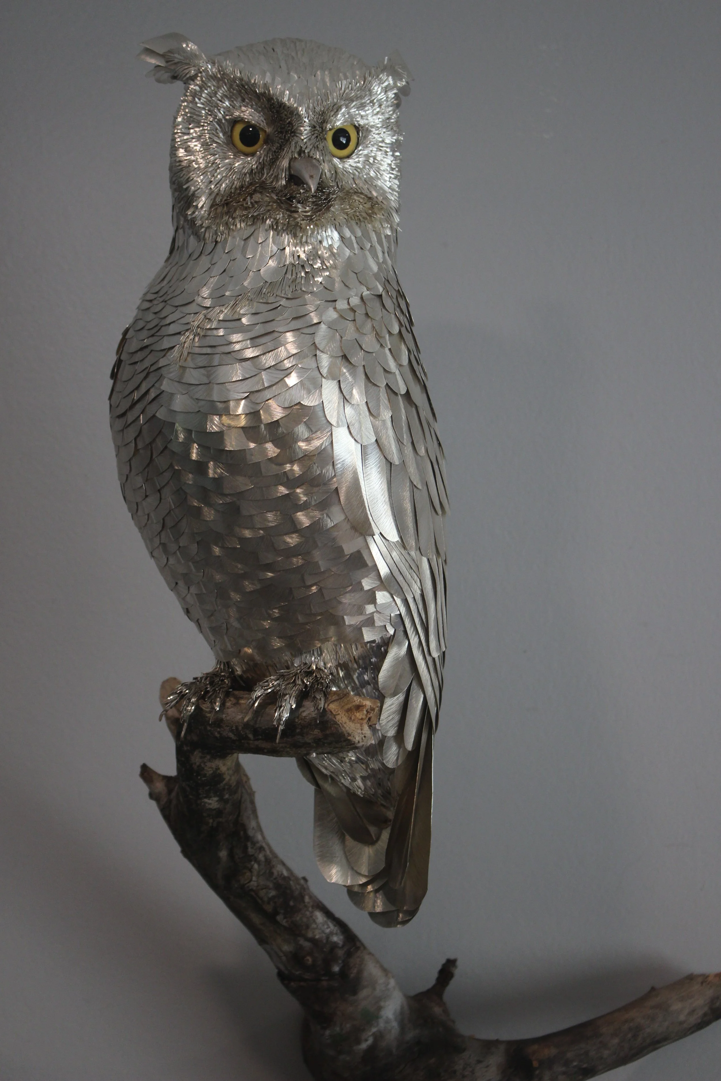 Full view of the silver owl on the branch