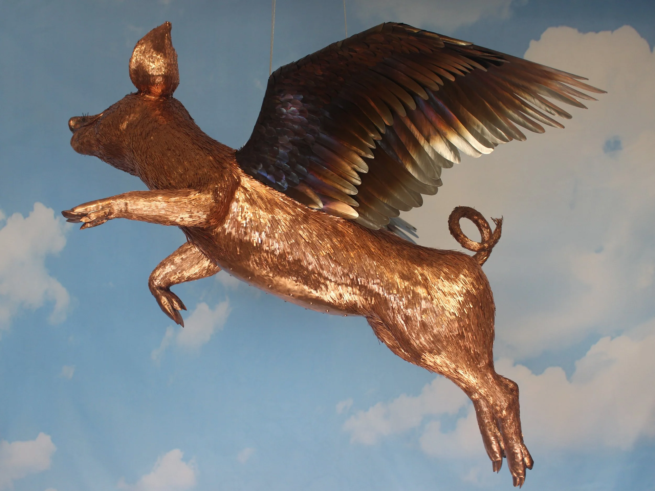 Left side of the flying pig, climbing