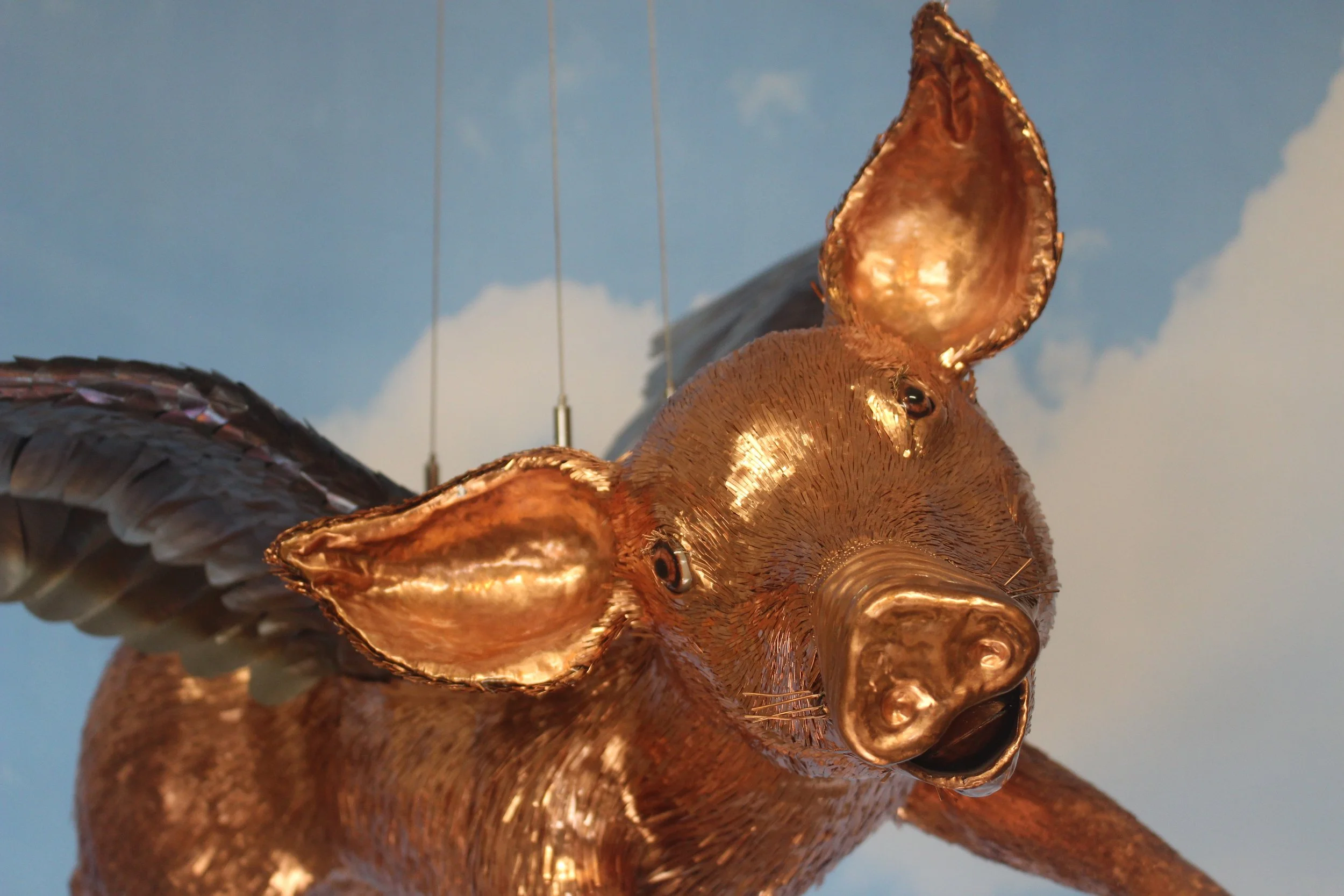 Close-up of Skypig's laughing face