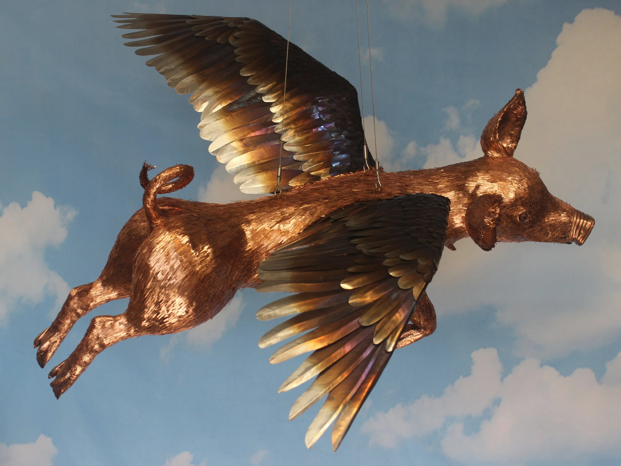 Top right view of the wings and body