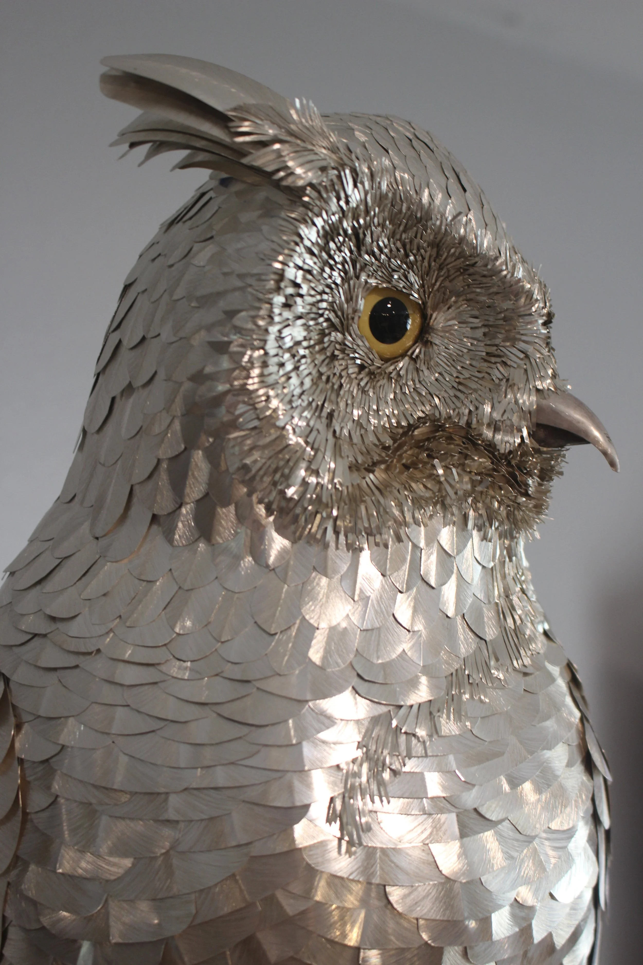 Right side of the face