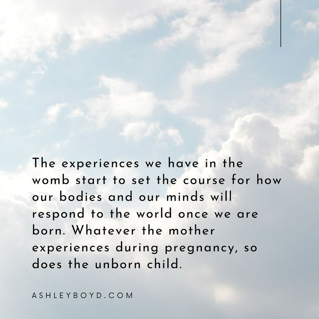 There are growing bodies of evidence that support the notion that trauma can happen to a fetus in Utero. 

Just as born individuals are affected by everything they experience in life, so is a fetus. The fetus is being impacted by everything they are 