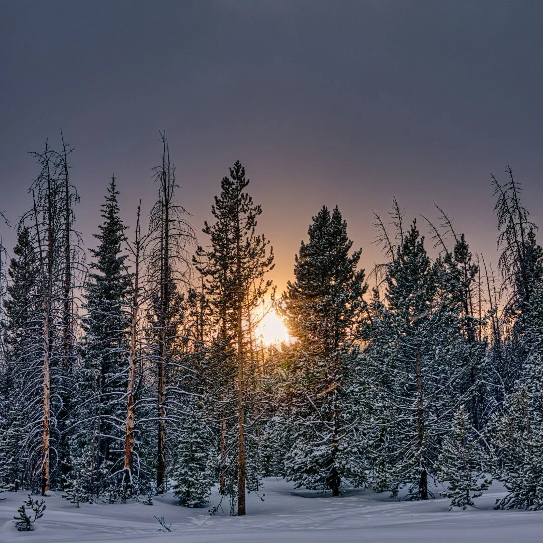 The 13 Sacred Nights: A Winter Solstice Practice of Reflection, Connection + Intention