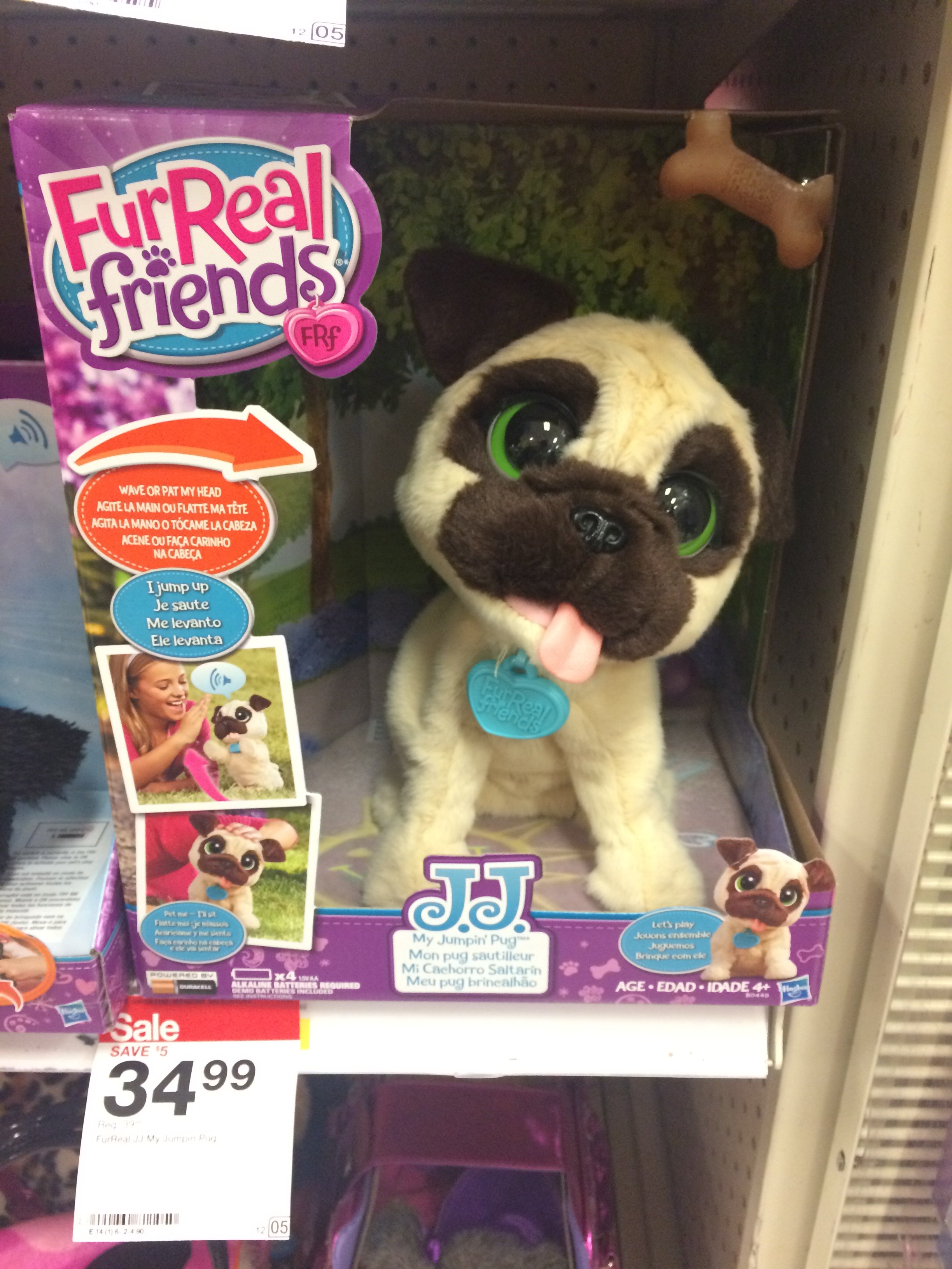 JJ the Pug IRL