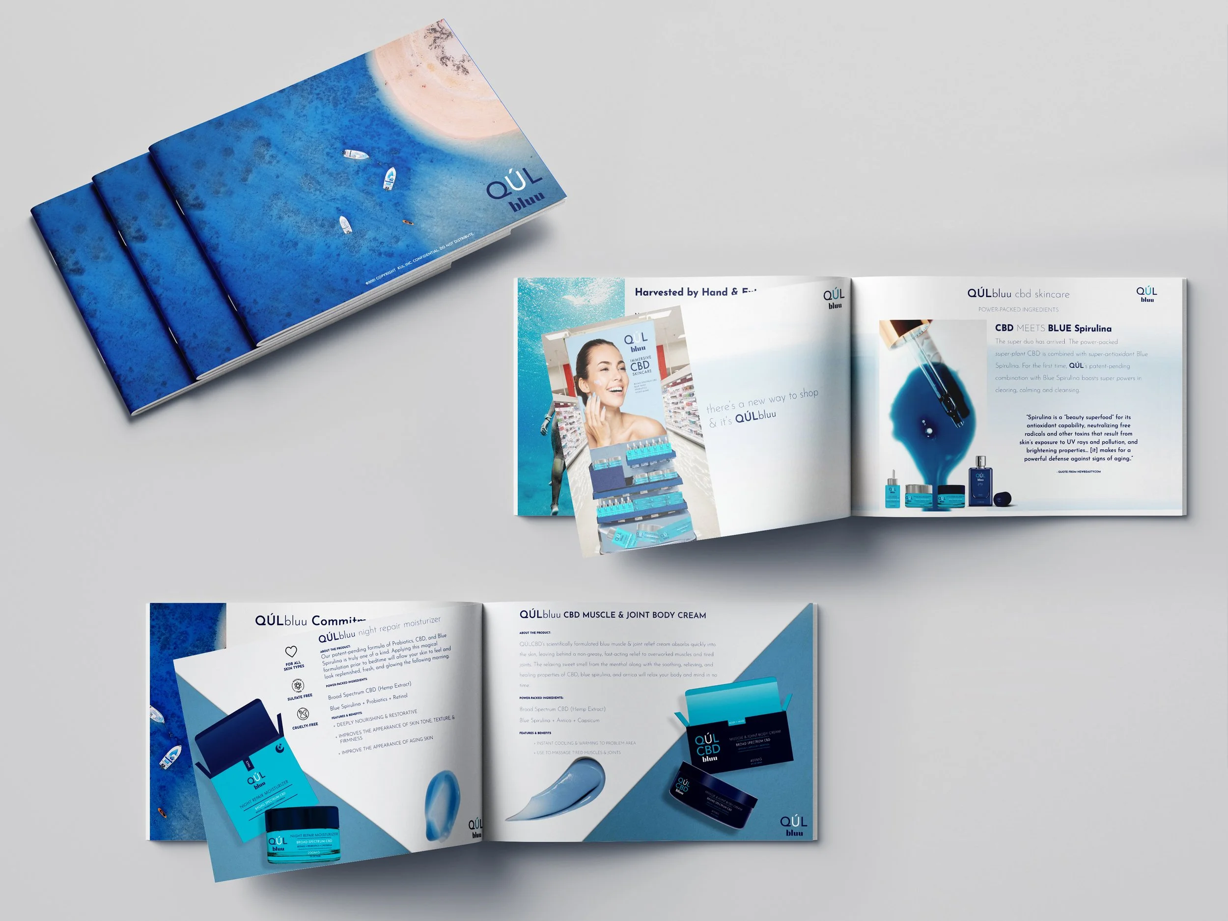 QulBluu Book layout copy.jpg