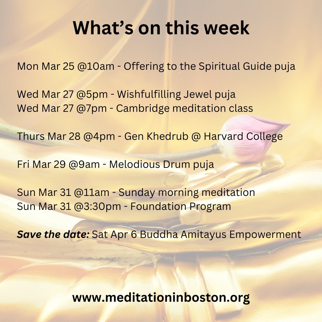What's on this week? Here are some highlights.

🙏 Monday 10am. Offering to the Spiritual Guide puja.

🧘 Wednesday 7pm. Cambridge meditation class on patience.

💥Thursday 4pm. New monthly free meditation with Gen Khedrub at Harvard College (Cabot H