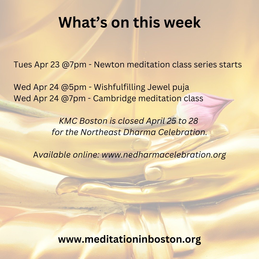 What's on this week? The Northeast Dharma Celebration at the temple at KMC New York next weekend! 

🧘🖥️ It is available both in person and online. Kadam Morten will grant the empowerment of Je Tsongkhapa and give teachings on the migtsema prayer. 
