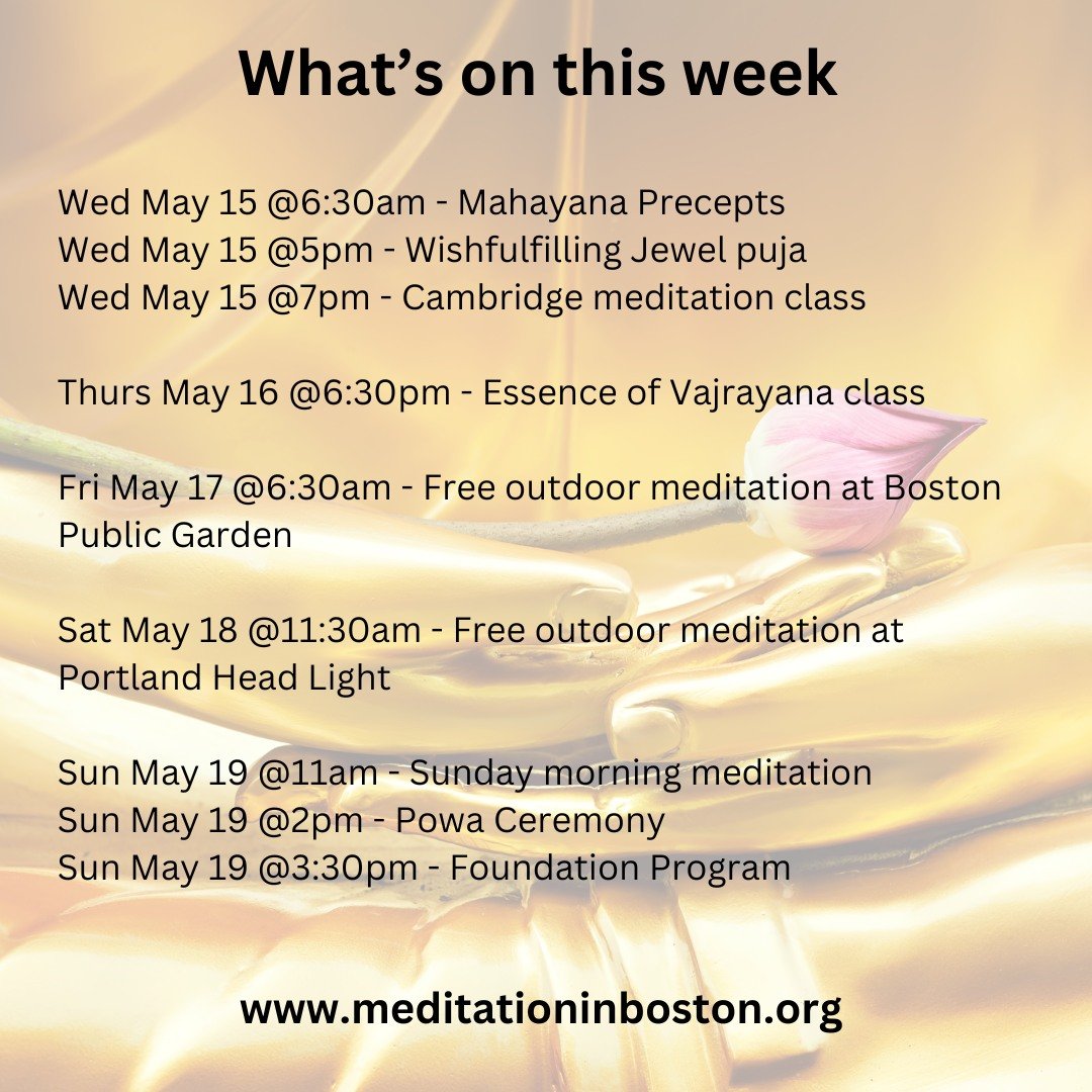 What's on this week? Here are some highlights in addition to our regular classes and pujas.

Thurs @ 6:30pm. Essence of Vajrayana class. Go deeper in your understanding and practice.

Fri 6:30pm. Free outdoor meditation in the Boston Public Garden. L