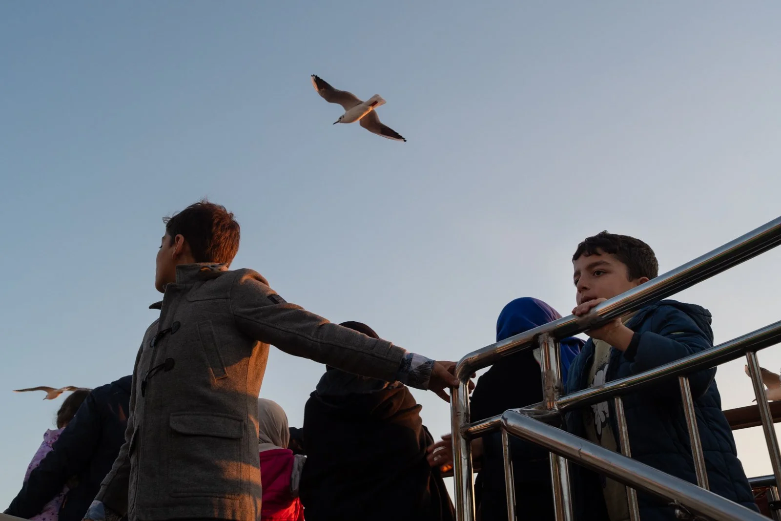boy and seagulls ferry-3.jpg