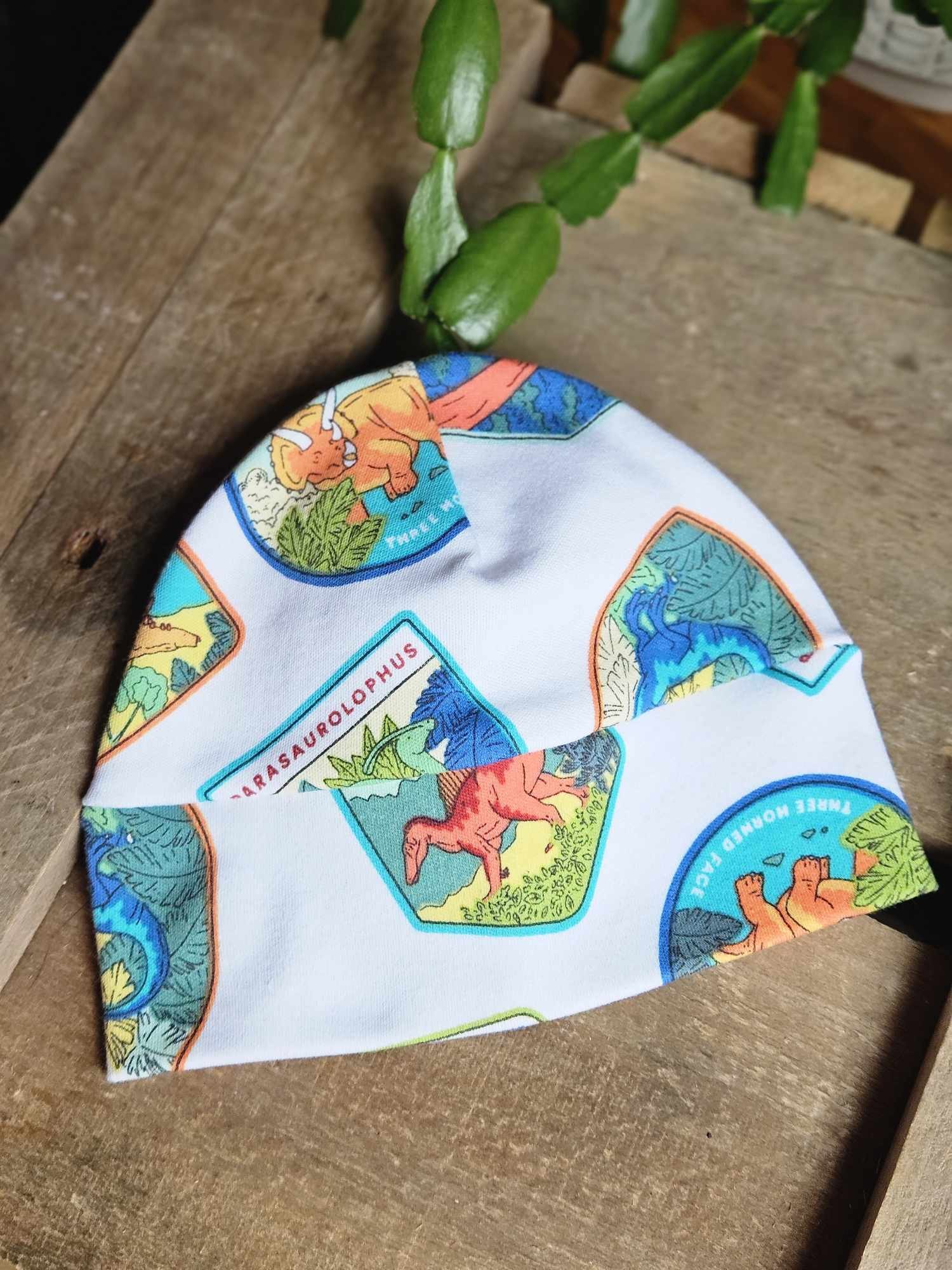 Dino Badge Baby Hat