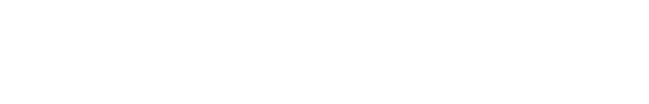 MiamiHerald.png
