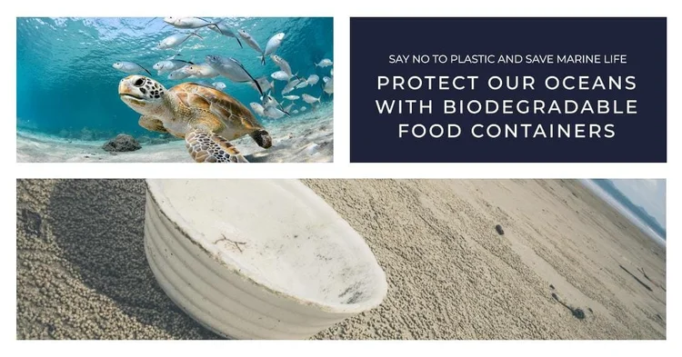 Biodegradable Food Containers: Paving the Way for a Sustainable Future