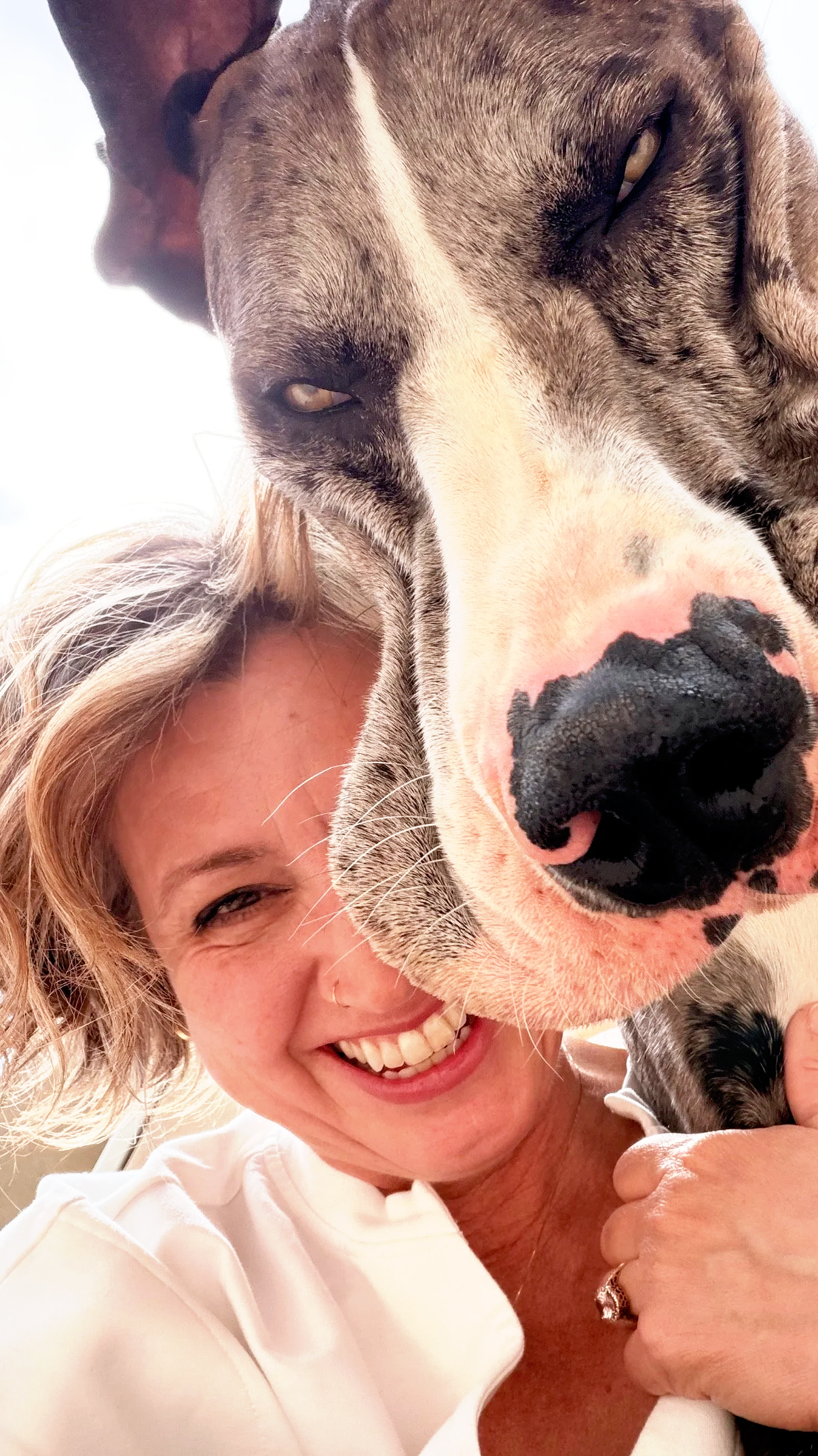 Heidi and merle-mantle Great Dane selfie