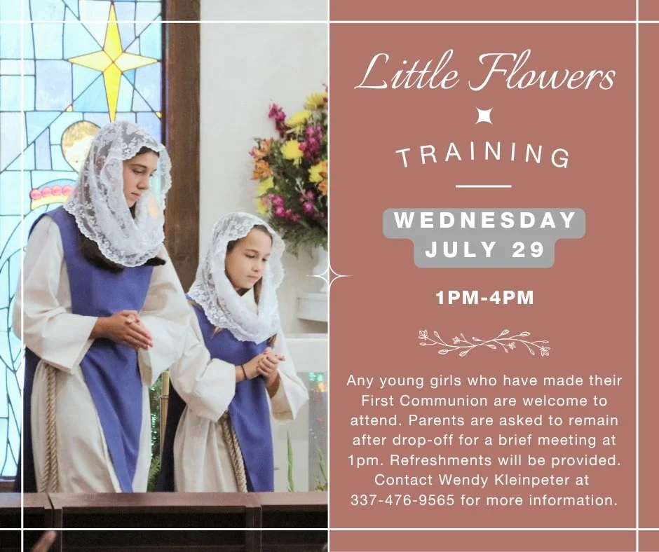 Little Flower.jpg