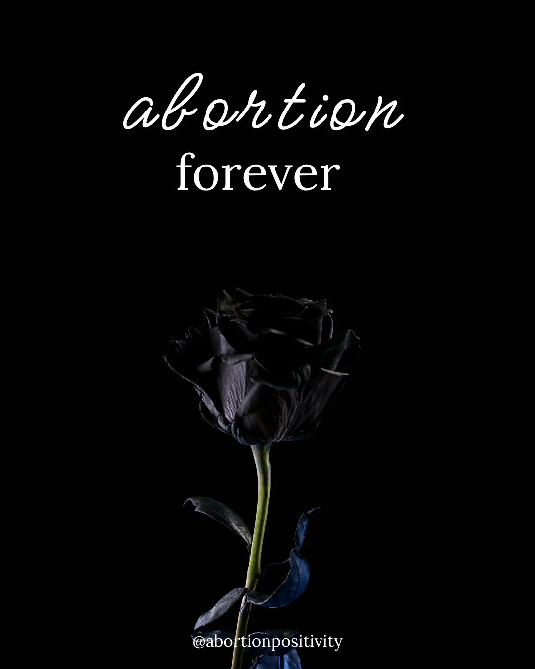 🖤🖤🖤