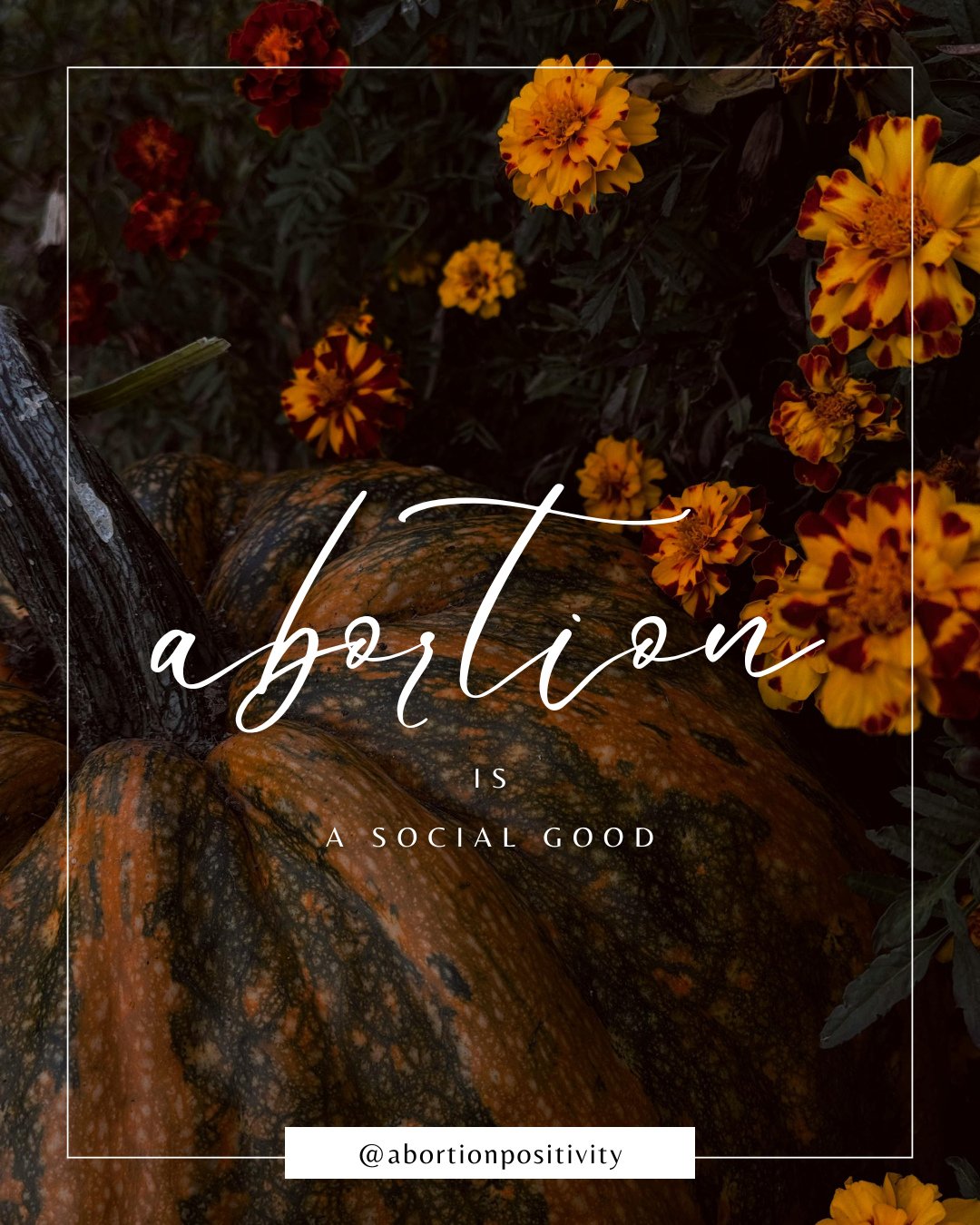 🗣️🗣️🗣️