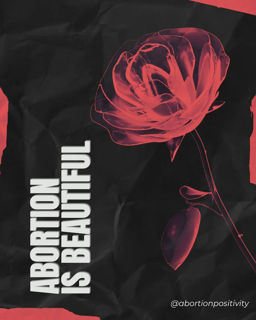 And beautiful things happen when we keep moving toward an Abortion Positive world.