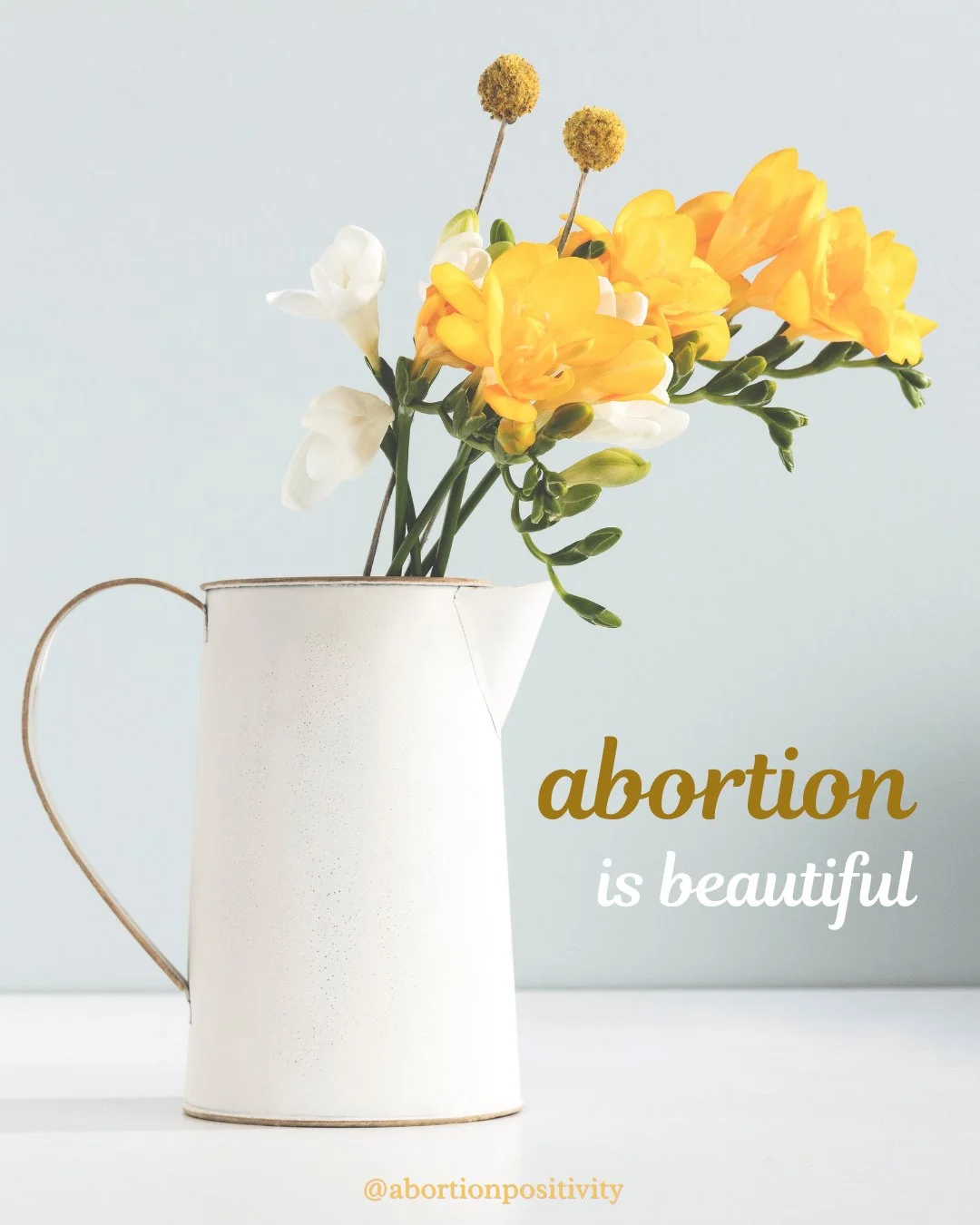 🌼🌼🌼