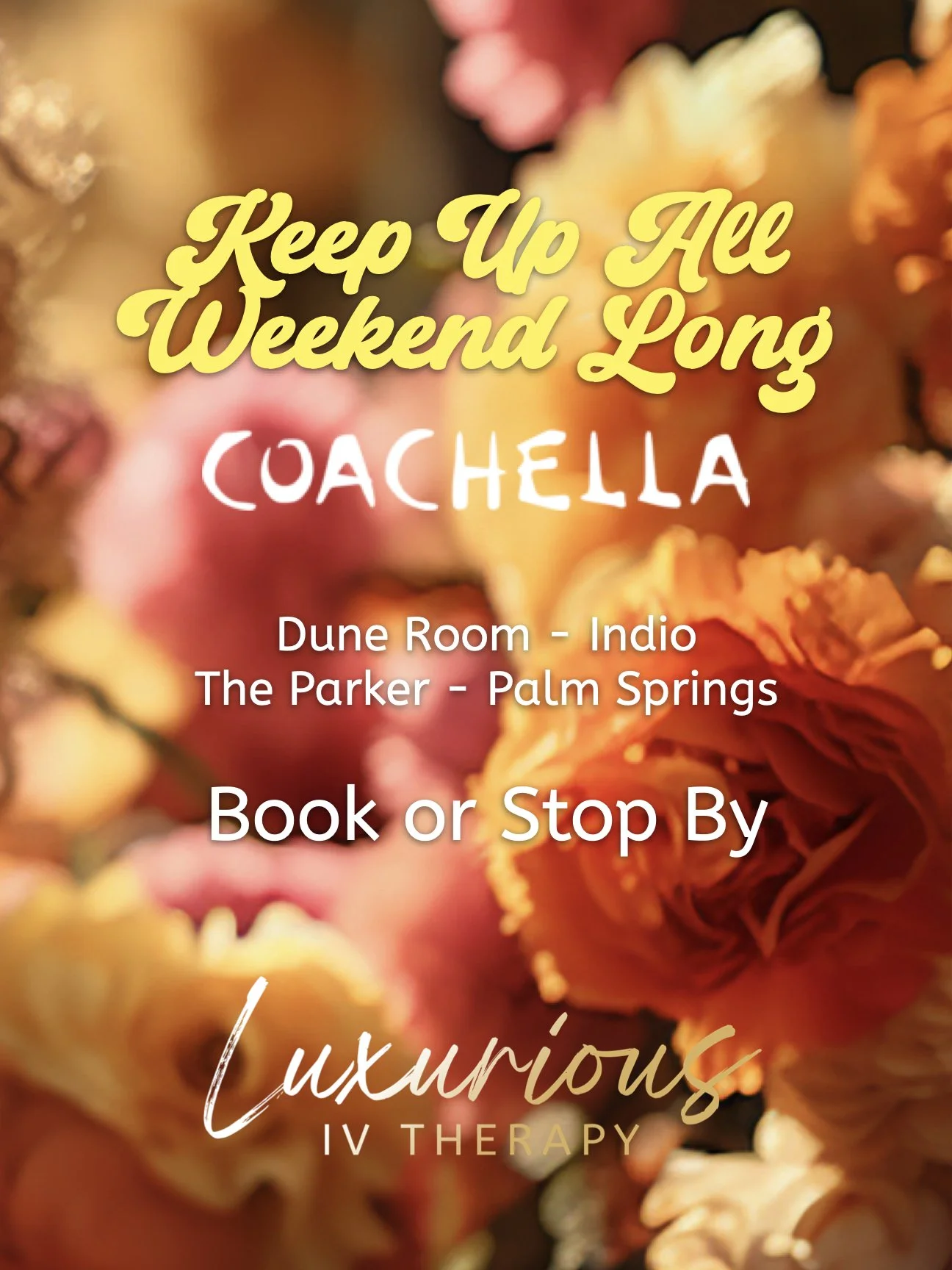 Coachella.2.jpeg