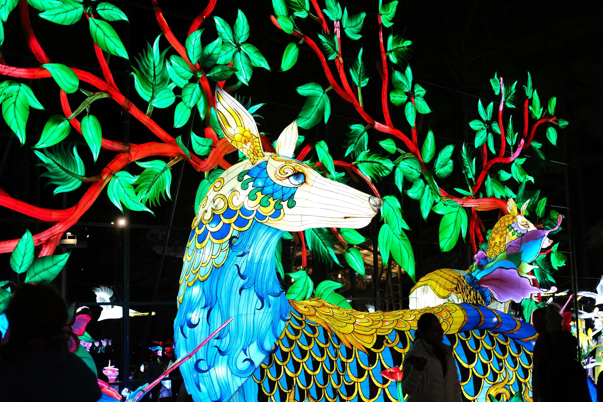 lanternBlogLantern-01.jpg