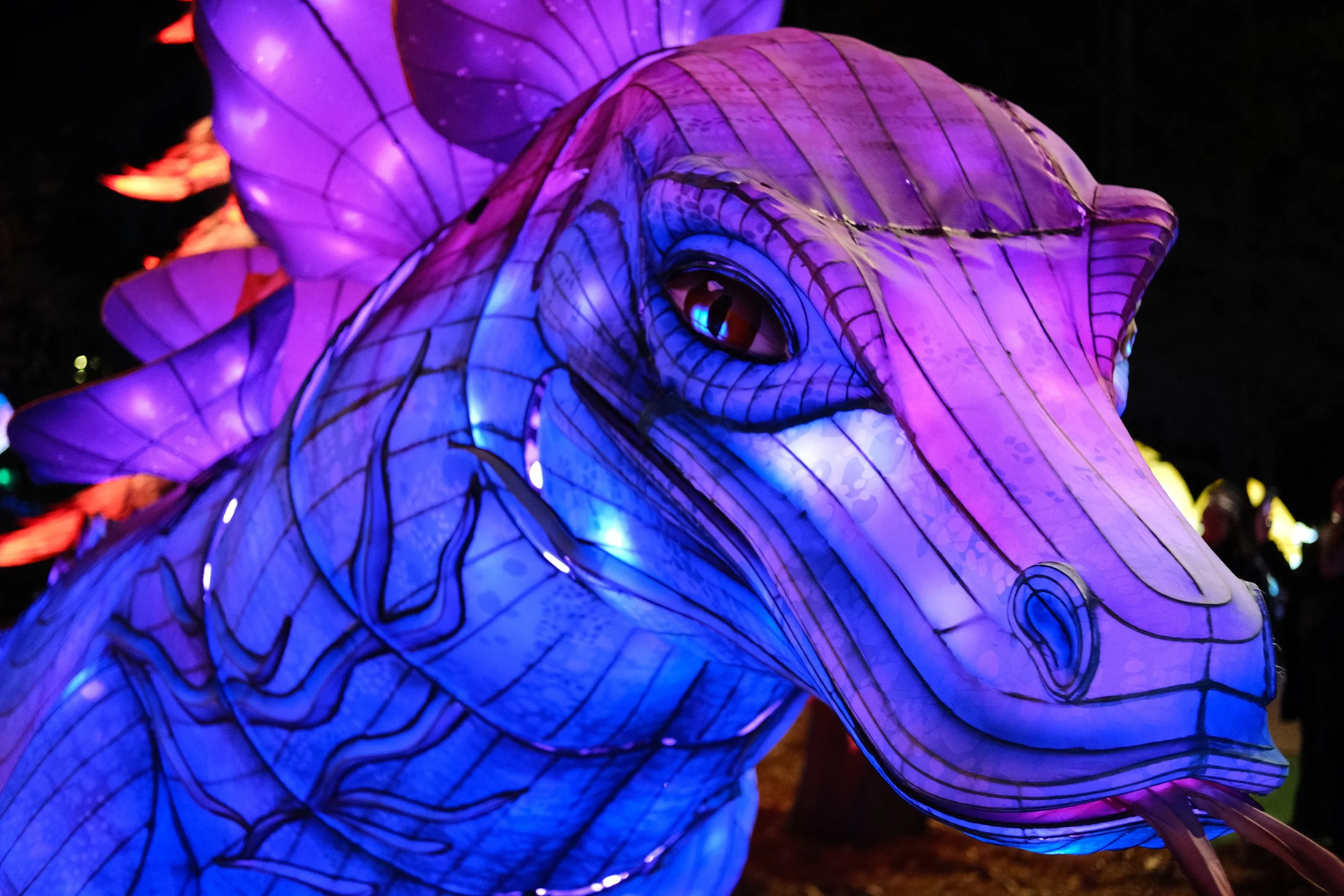 lanternBlogLantern-09.jpg