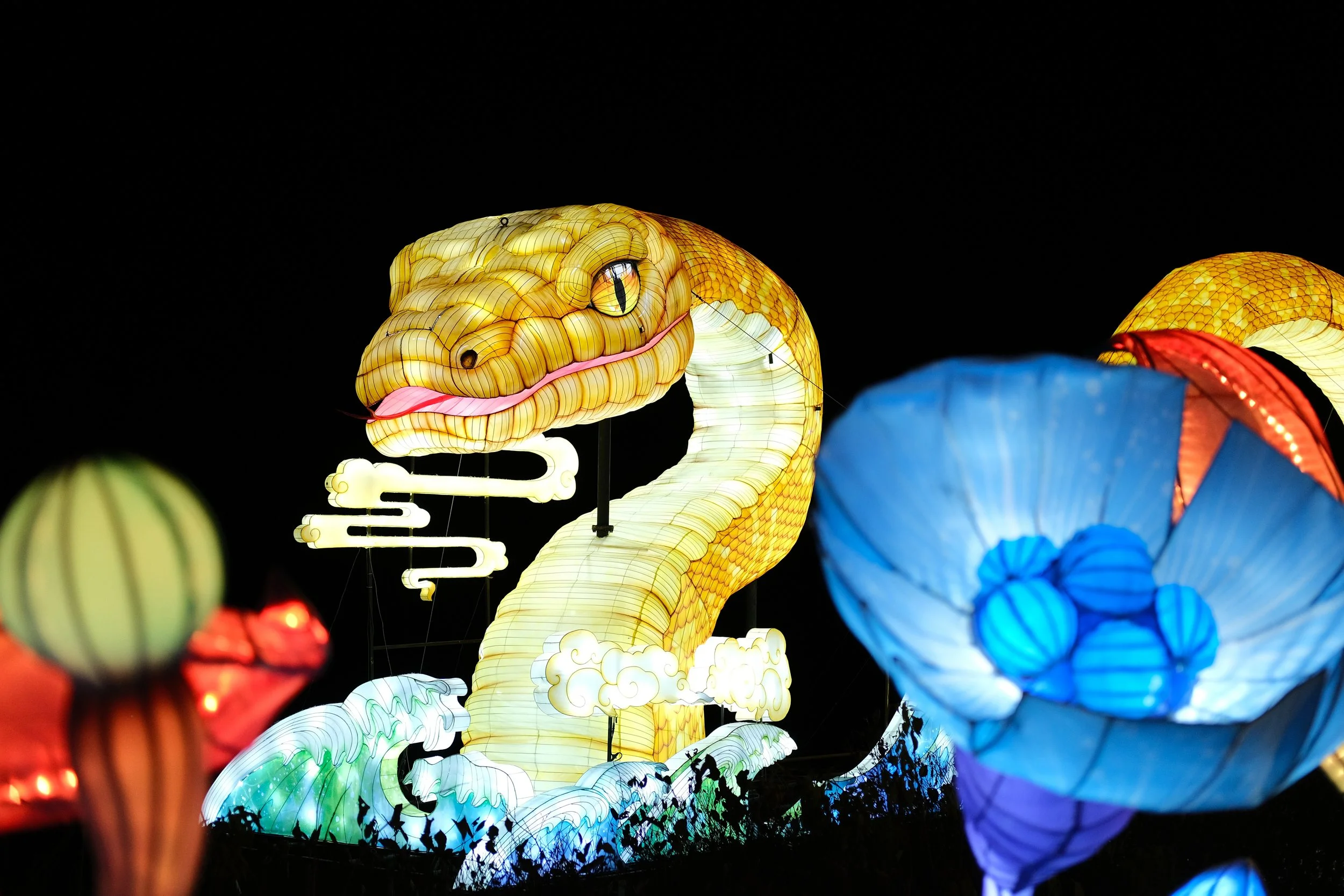NC Chinese Lantern Festival and the final form of my “Fuji Colors” recipe
