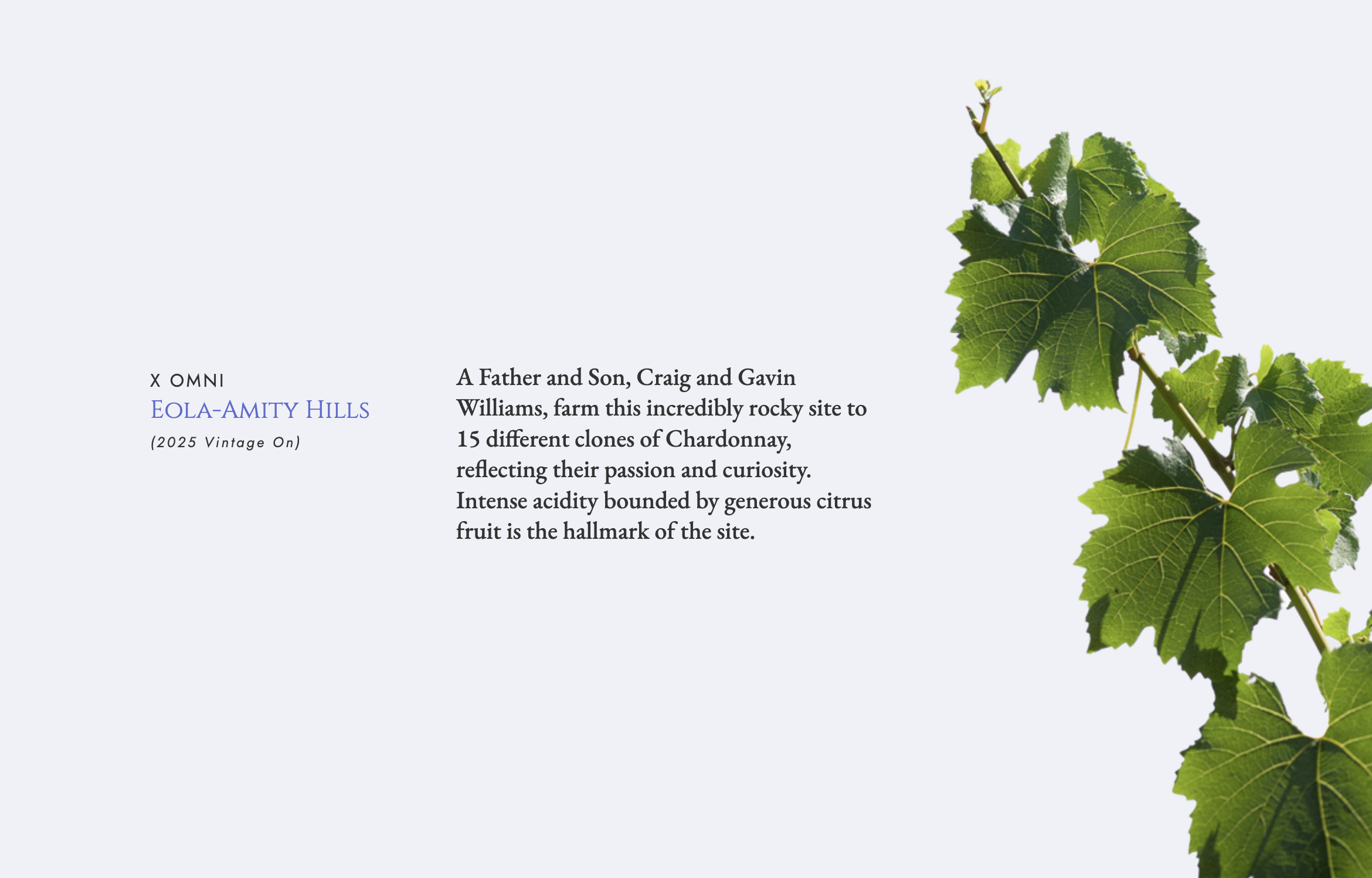 Screenshot 2026-02-21 at 10.36.47 PM.png