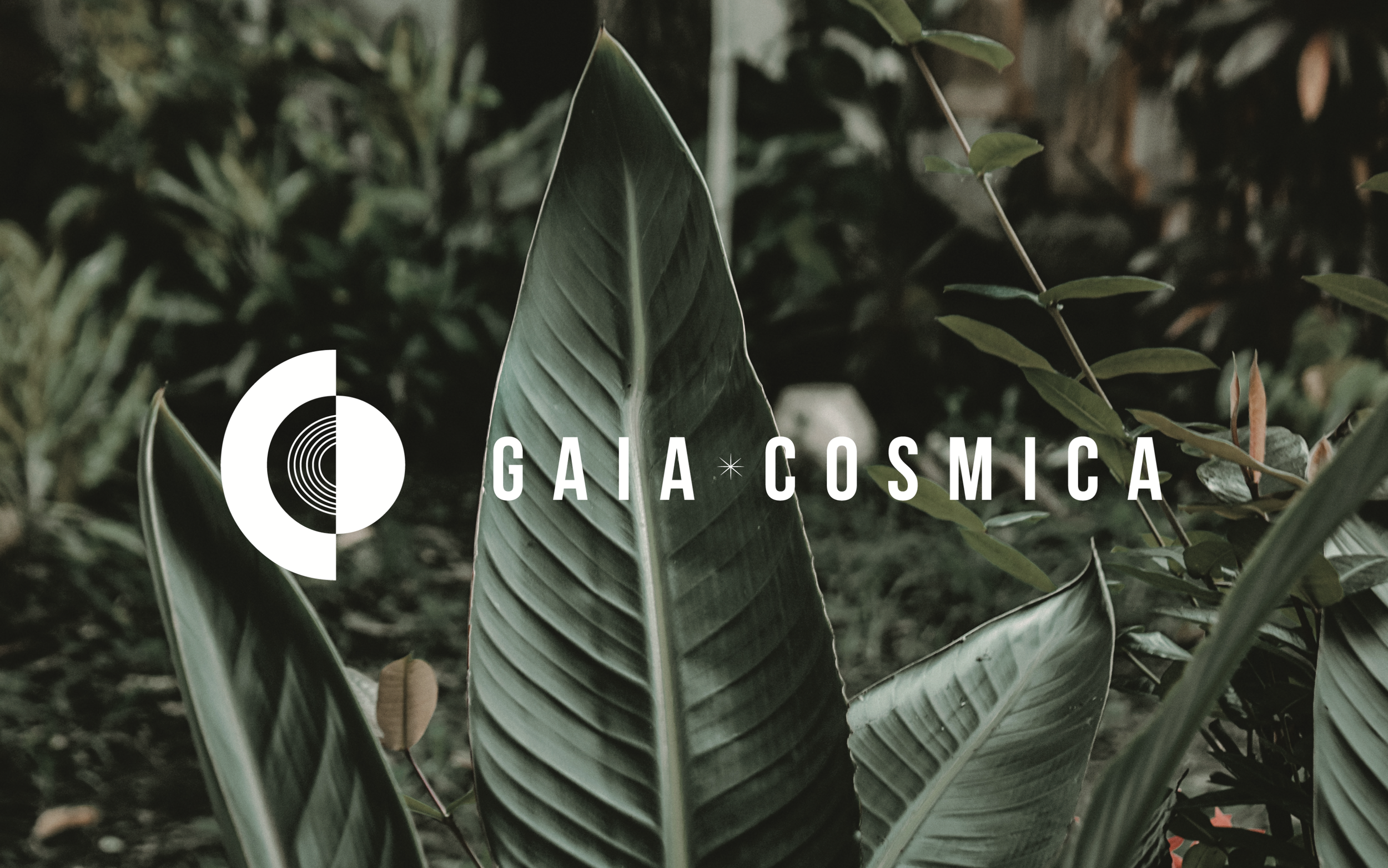 Gaia Cosmica
