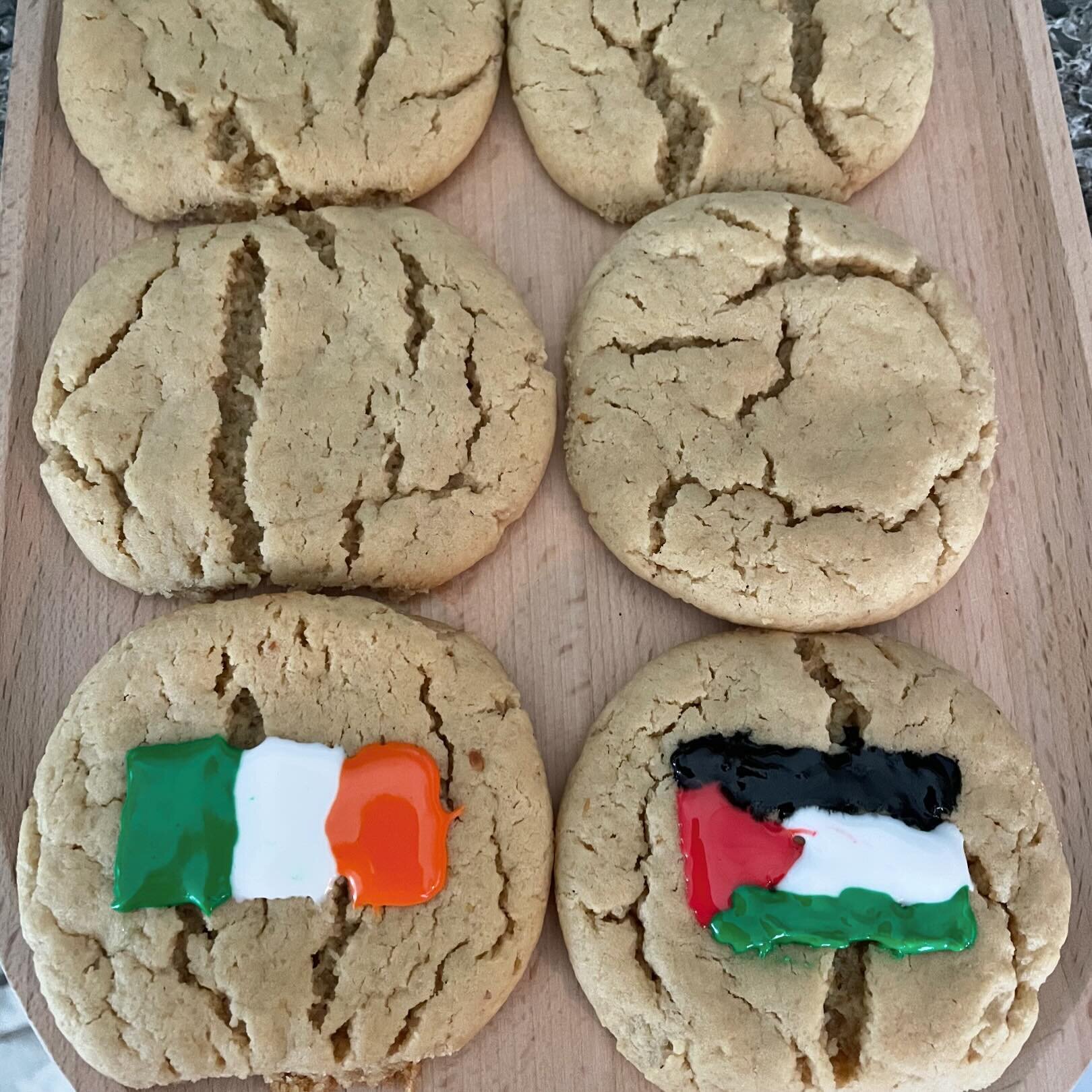 Here&rsquo;s to a very Happy St. Patrick&rsquo;s Day and a very Free Palestine. 🇵🇸 🇮🇪 

#happystpatricksday #stpatricksday #freepalestine