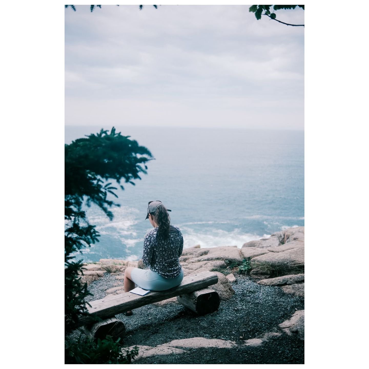 Cliffside. 
Acadia National Park. 

#fujifilm #fujifilm_xseries #fujixt4 #fujixshooters #fujiframez #fujifeed #fujilovers #naturephotography #naturelovers #landscapephotography #landscapelovers #outdoorphotography #outdoortones #moodygrams #shootands