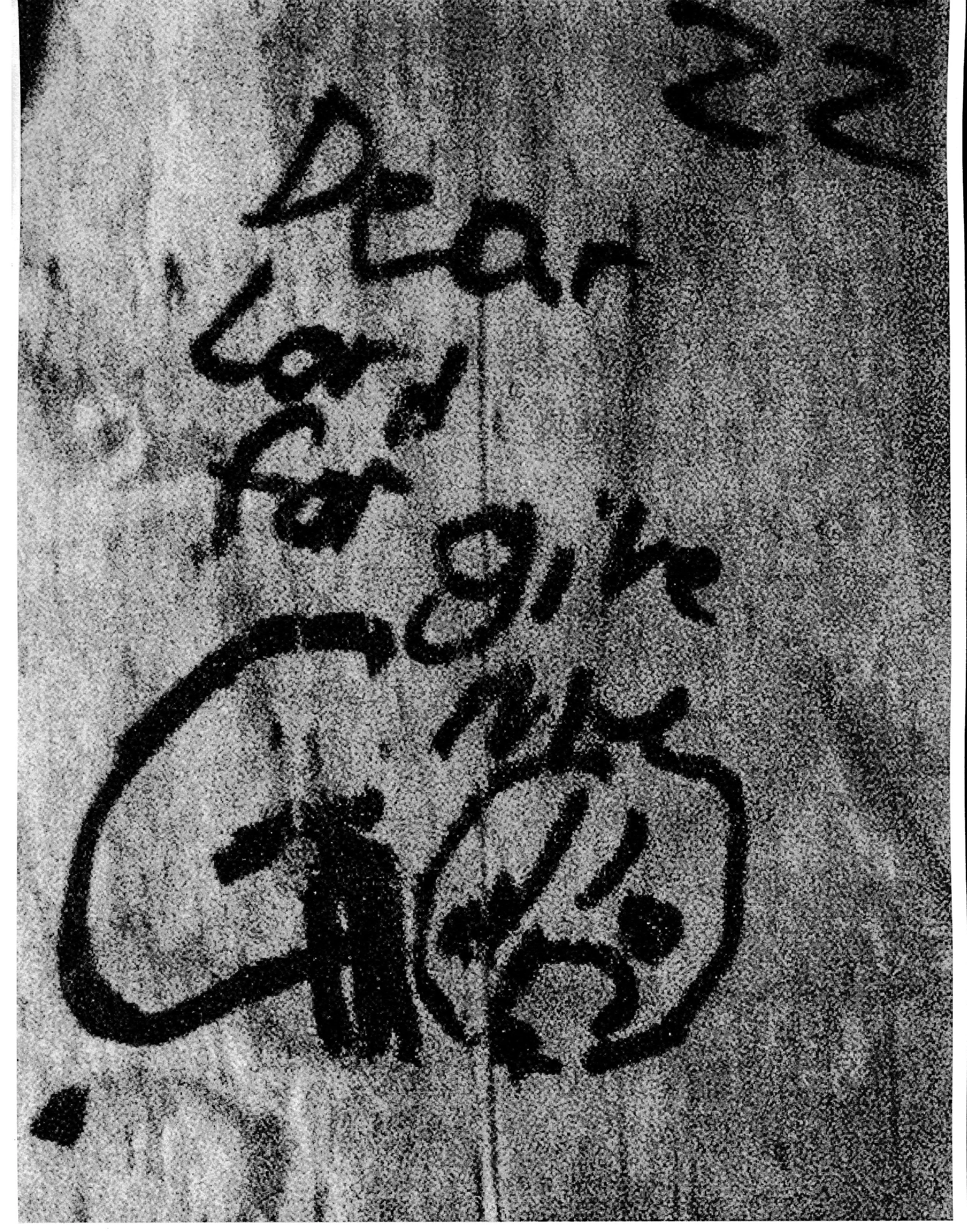 IMG_20250426_0006 copy.jpg