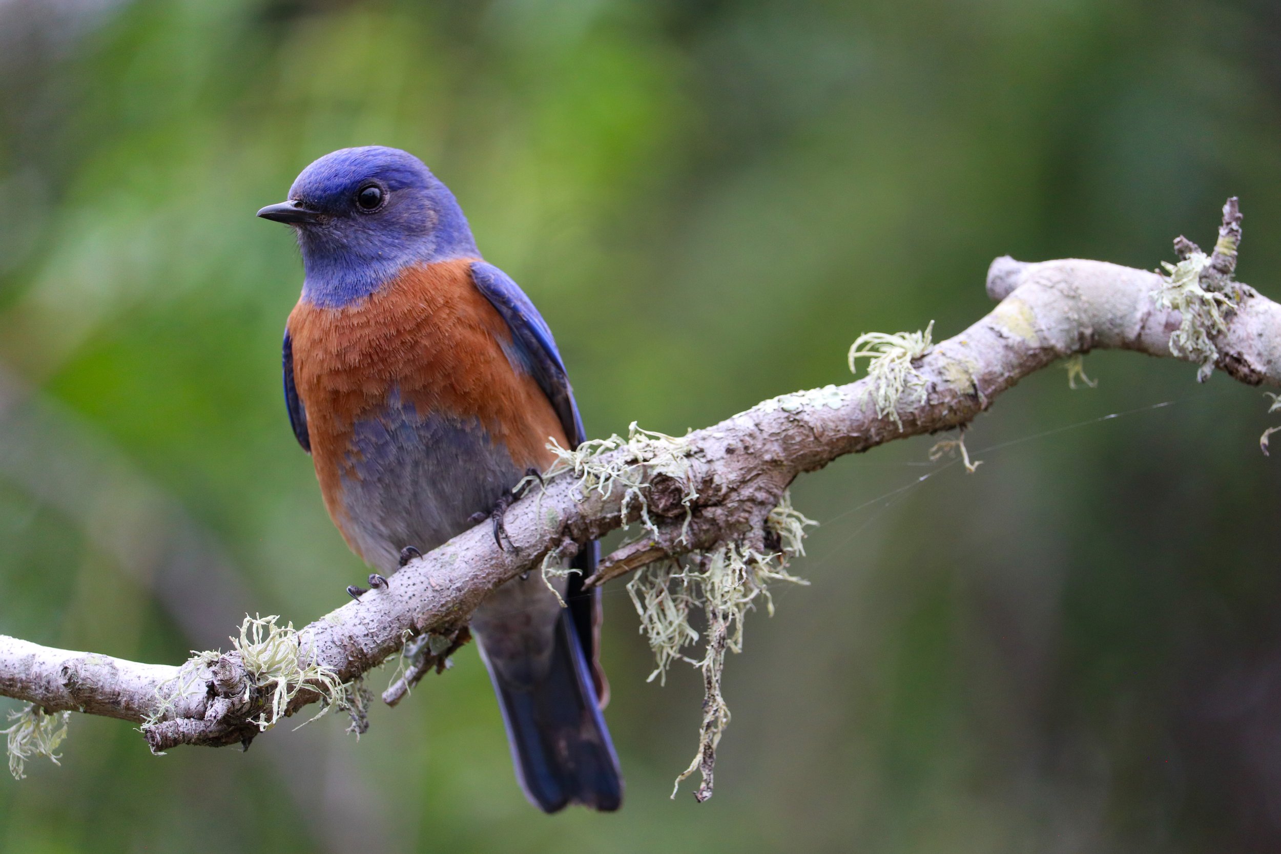 Weekly Check-In - February 13, 2026