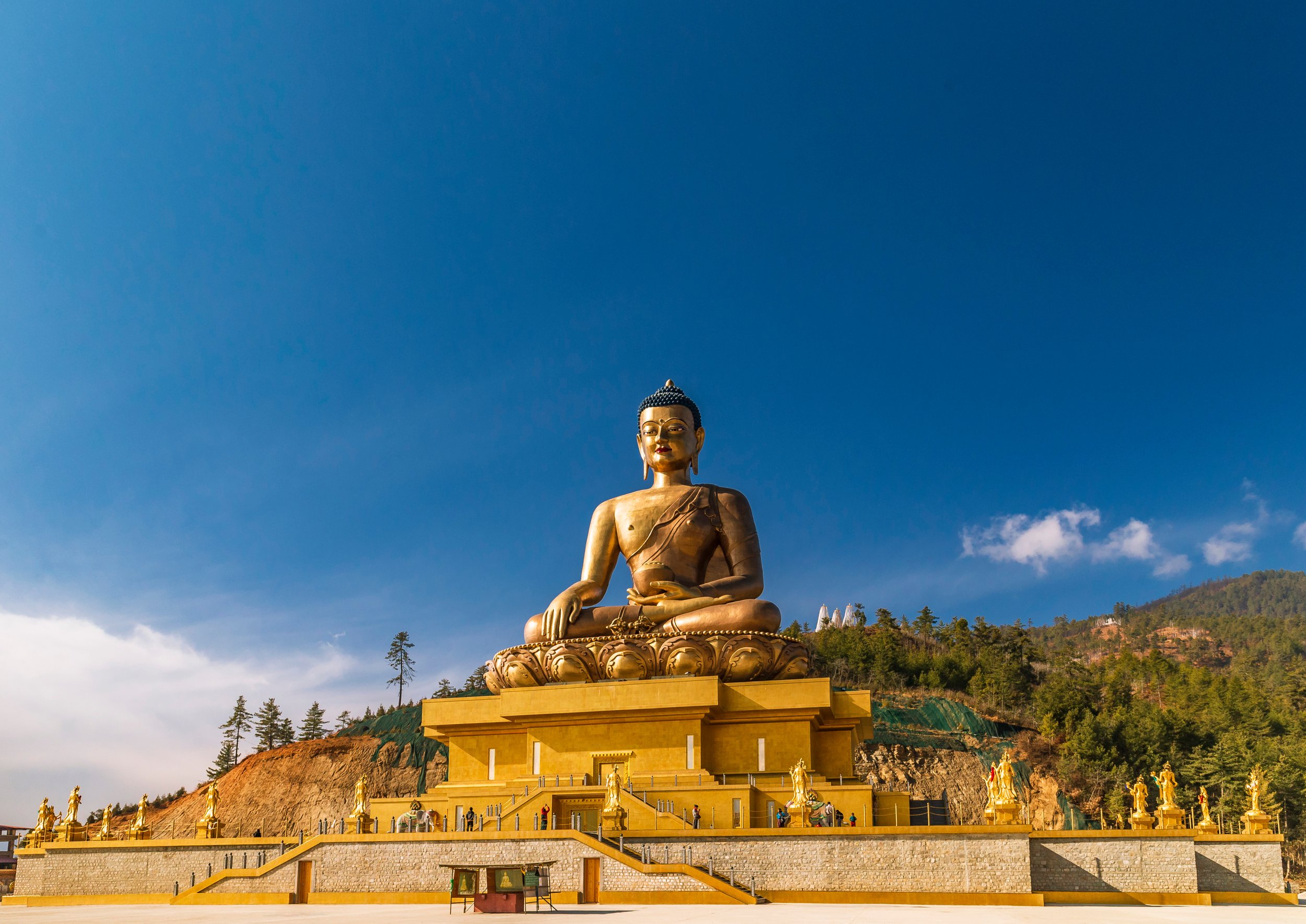 Thimphu Festival