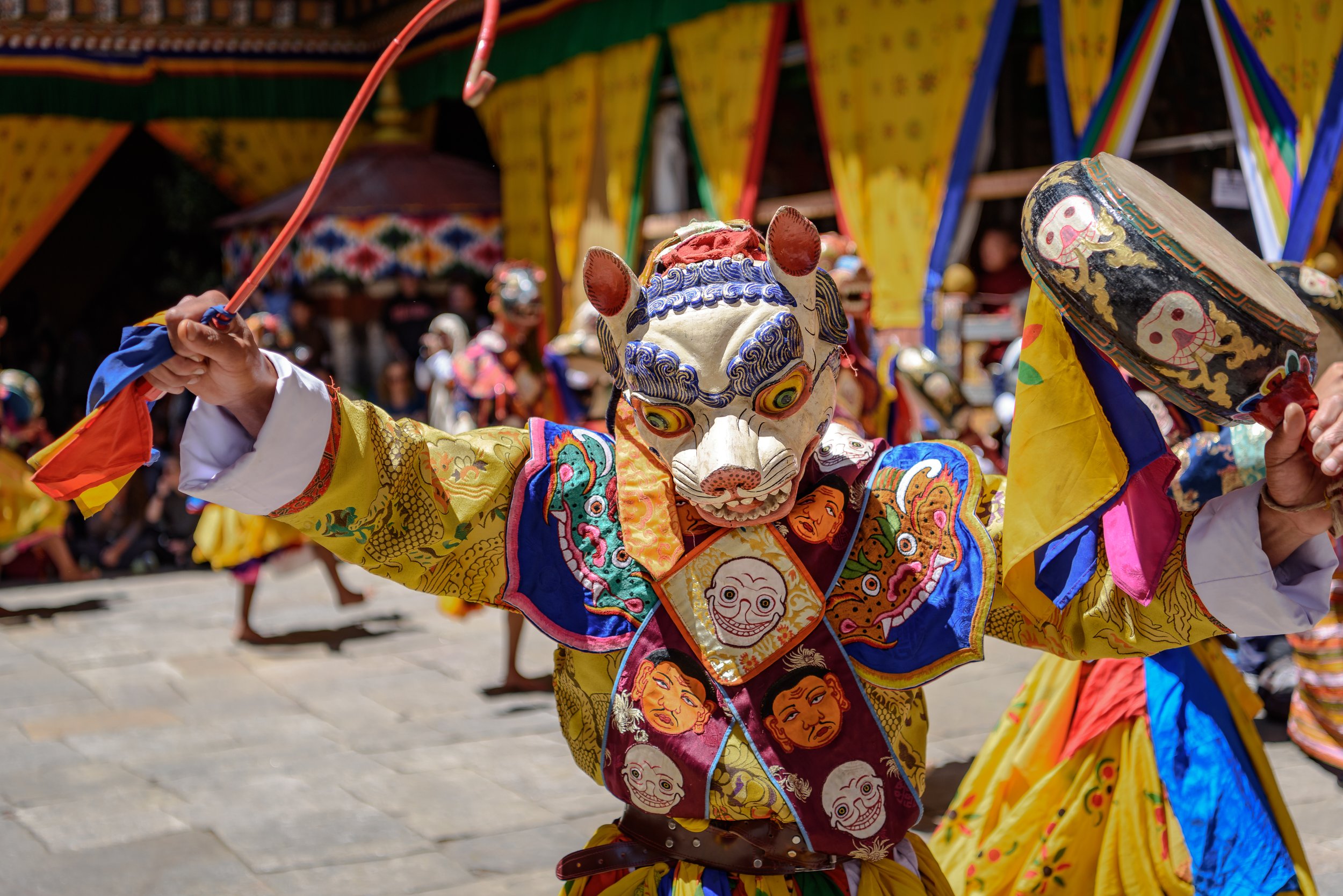 AdobeStock_226740212.jpeg