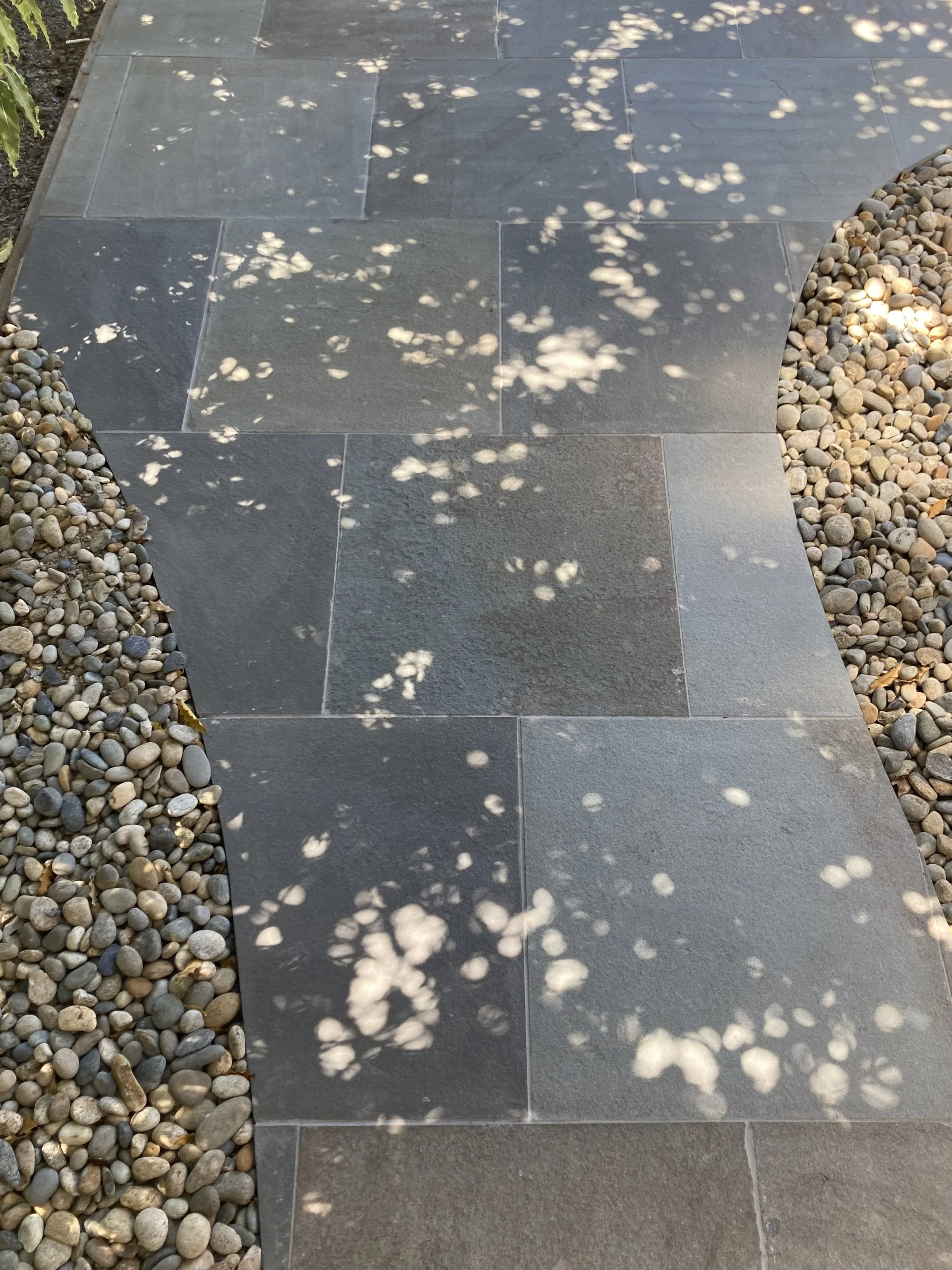 41C21C5F-0342-4425-A8A5-D0B5EEE04CFA_1_201_a 2.jpg