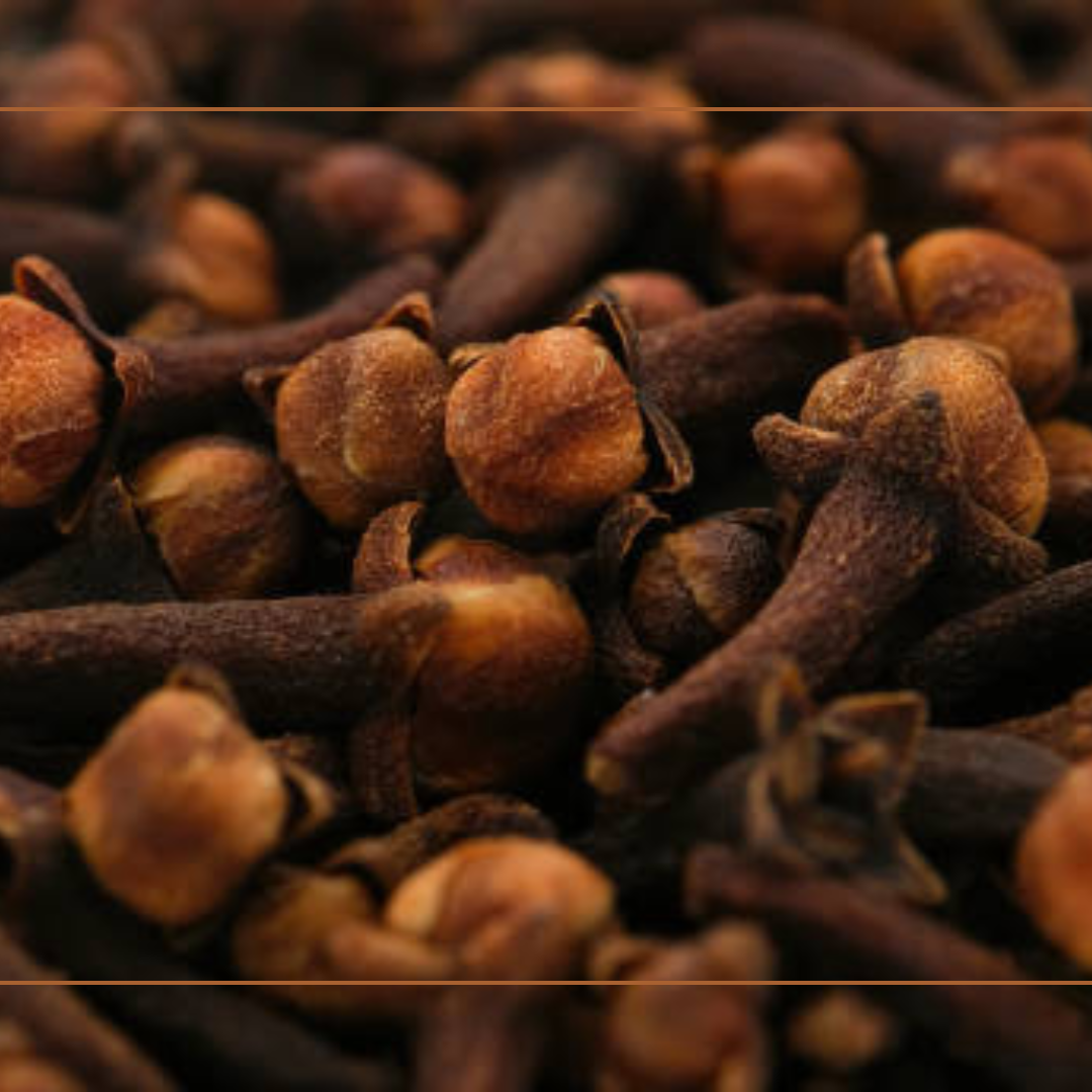 The Healing Power of Spices: Nature’s Medicine Cabinet