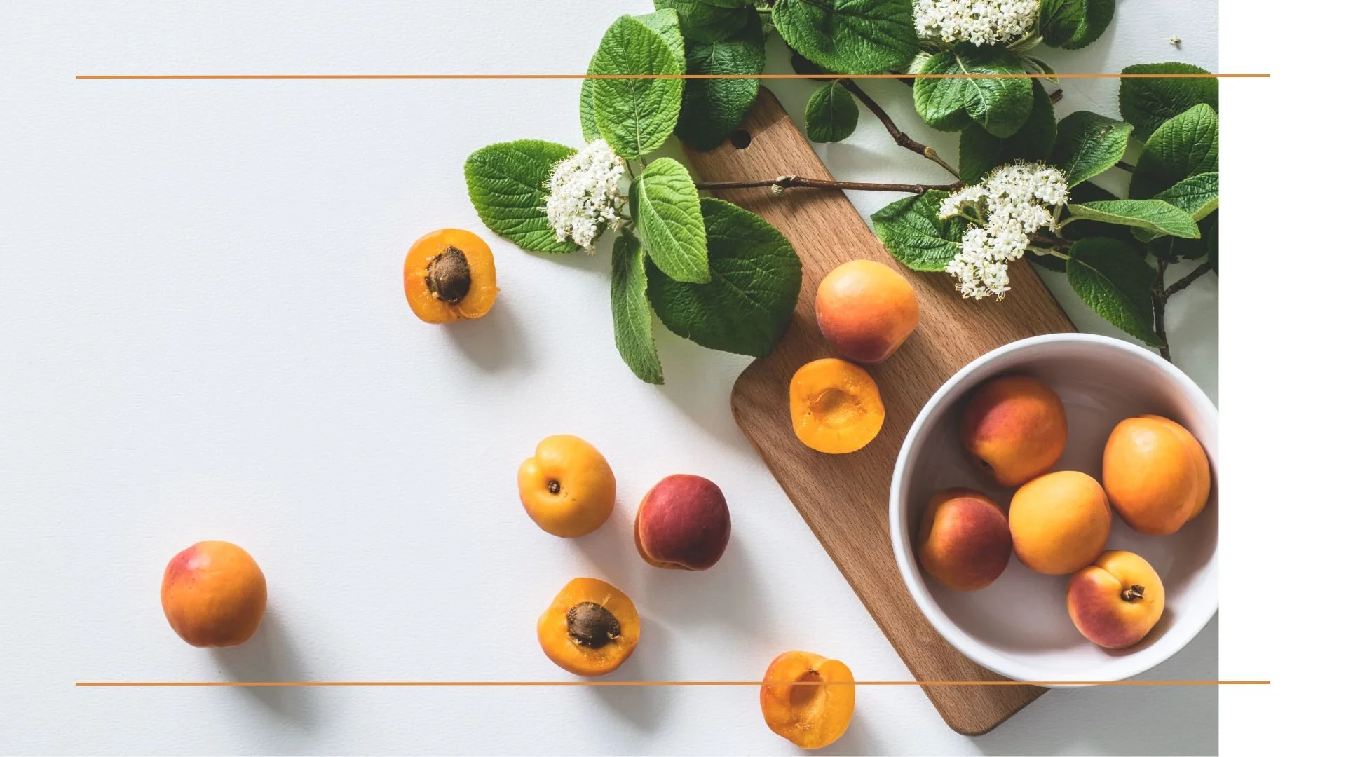Apricot.jpg